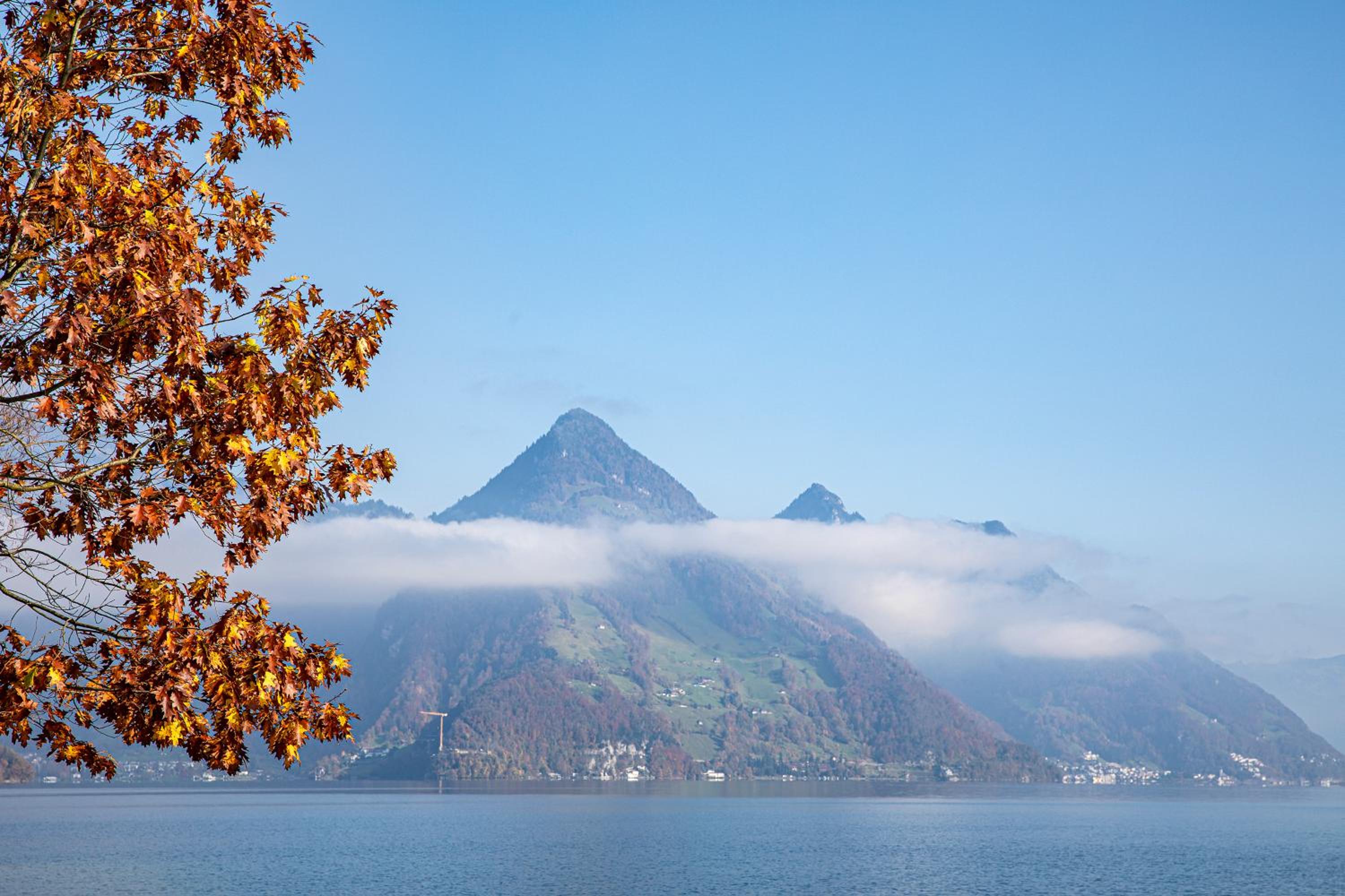 Rigiblick am See