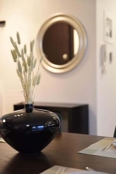 Serenity and Comfort Apartment