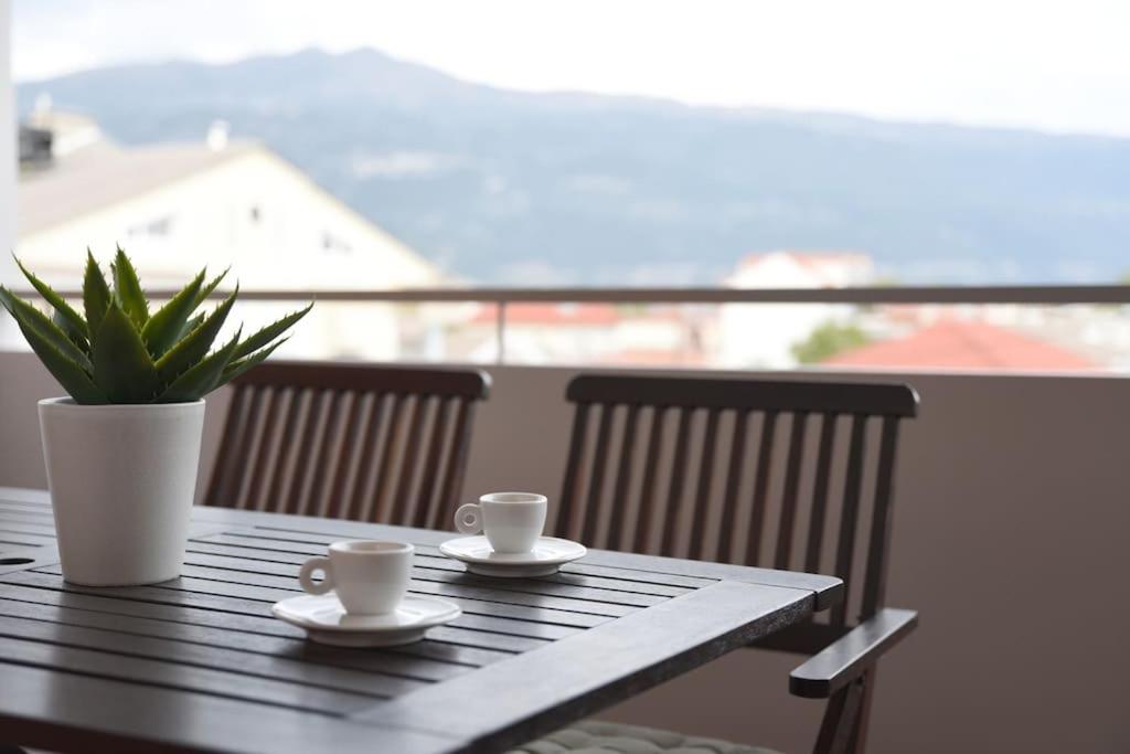 Serenity and Comfort Apartment