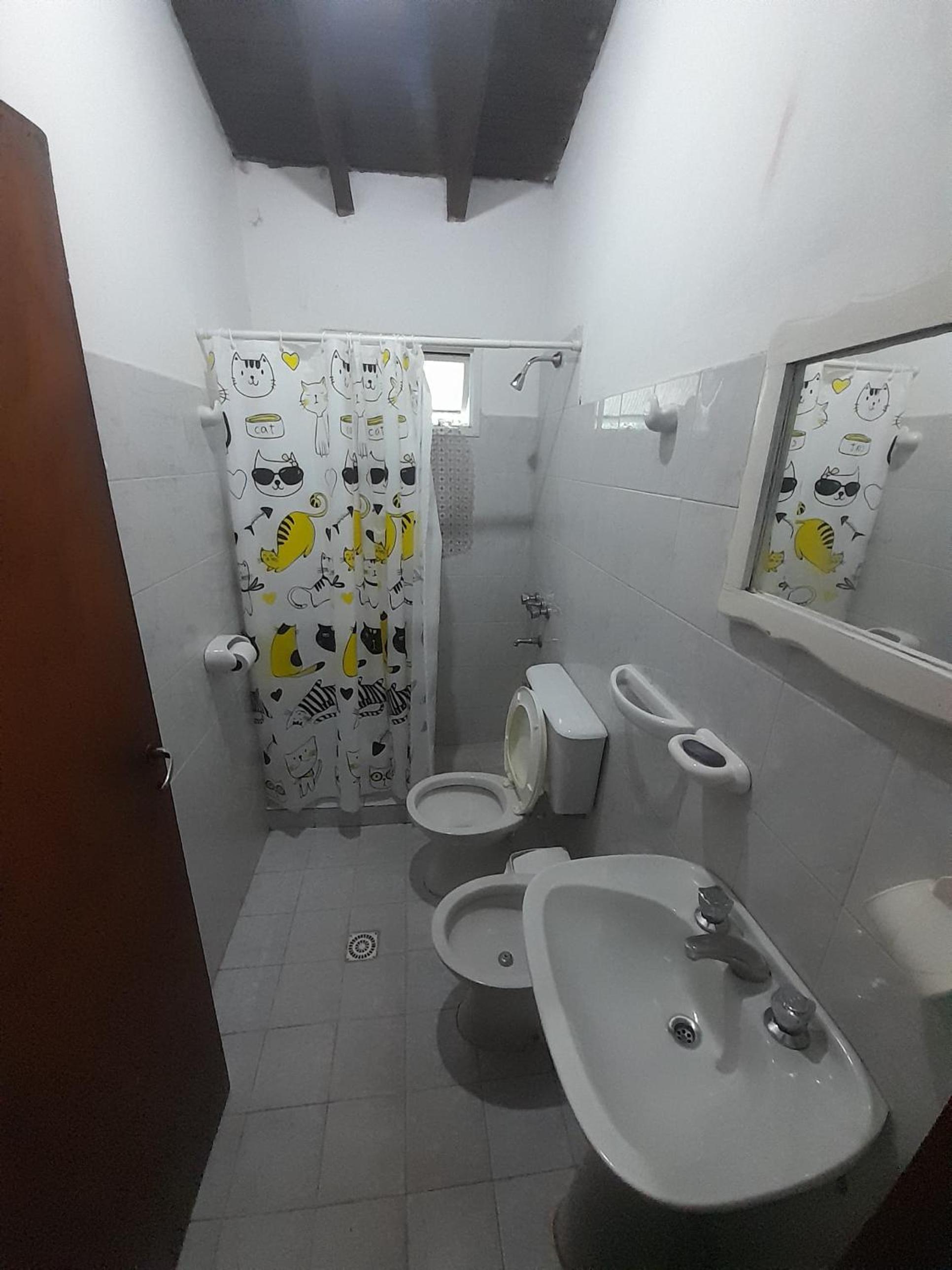 Casa en Juana Koslay - Ave Fénix