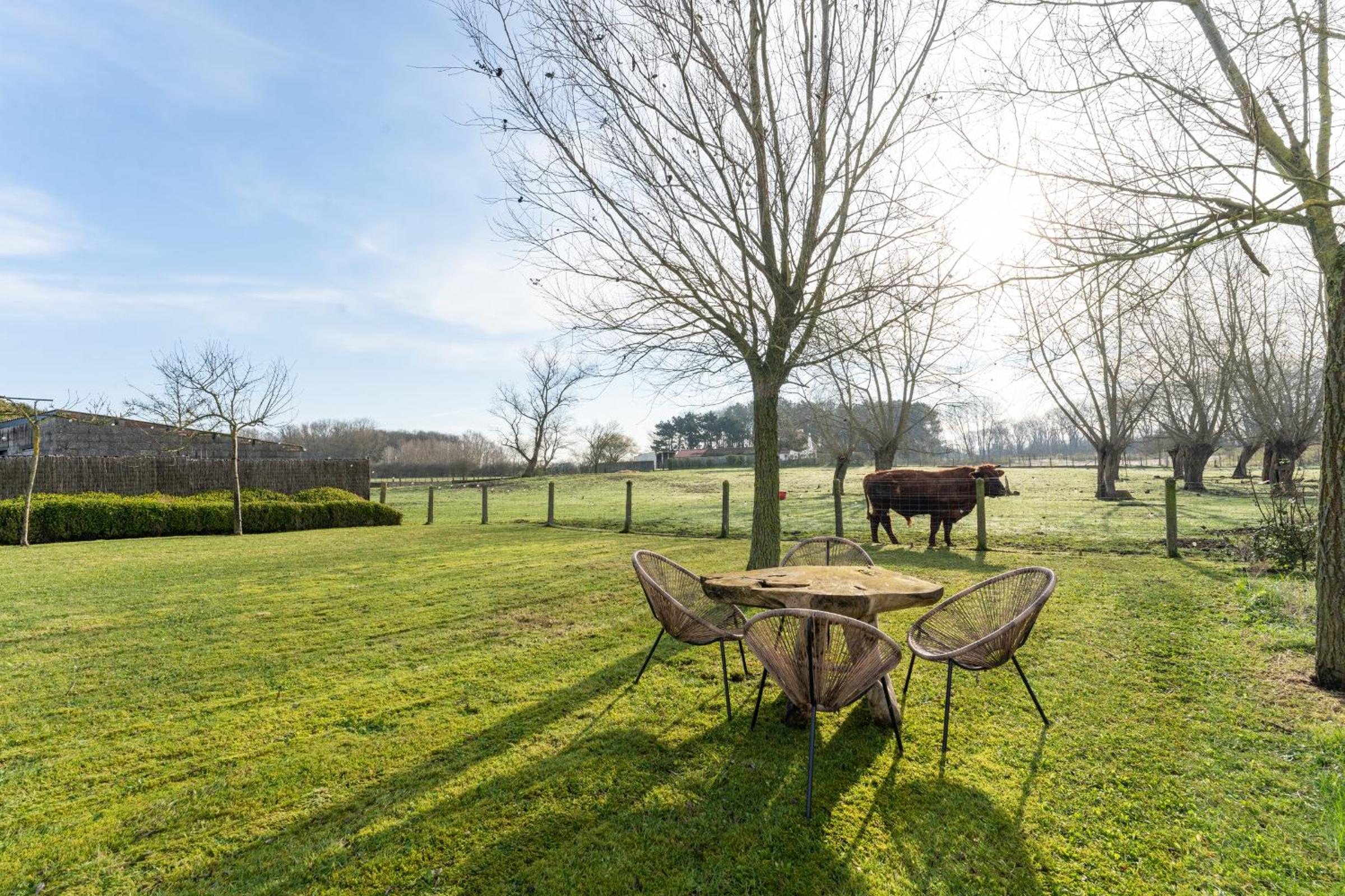 Endless summer Knokke - Pool Villa