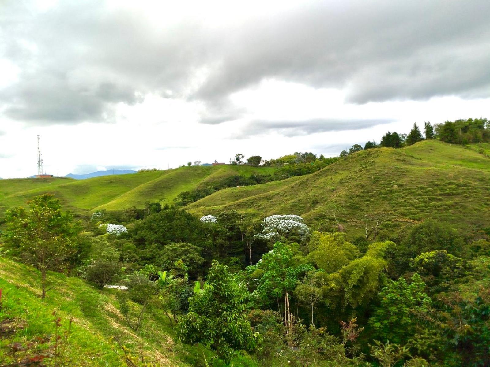 Green Highland Casa Campestre