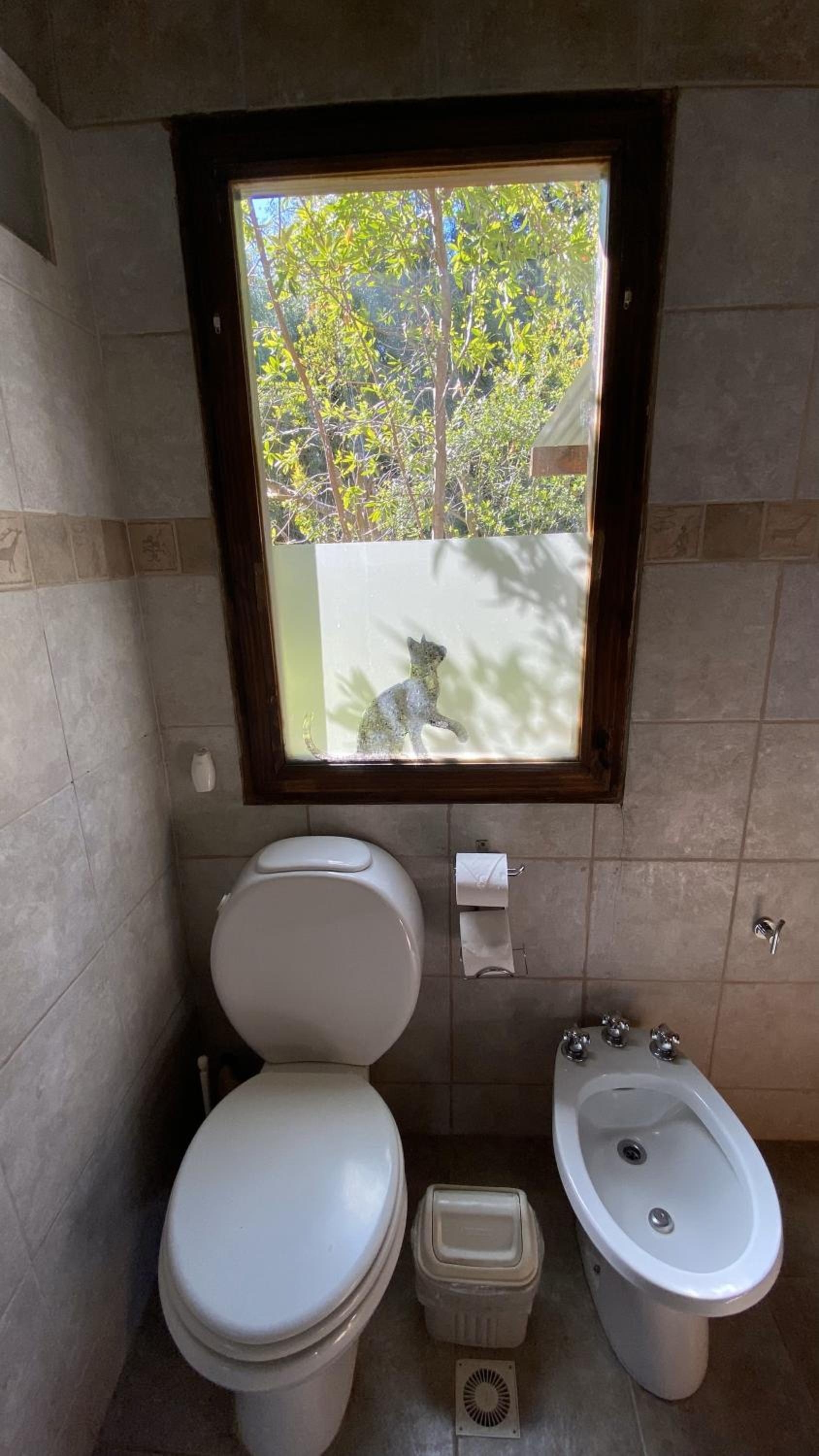 Cabaña de montaña
