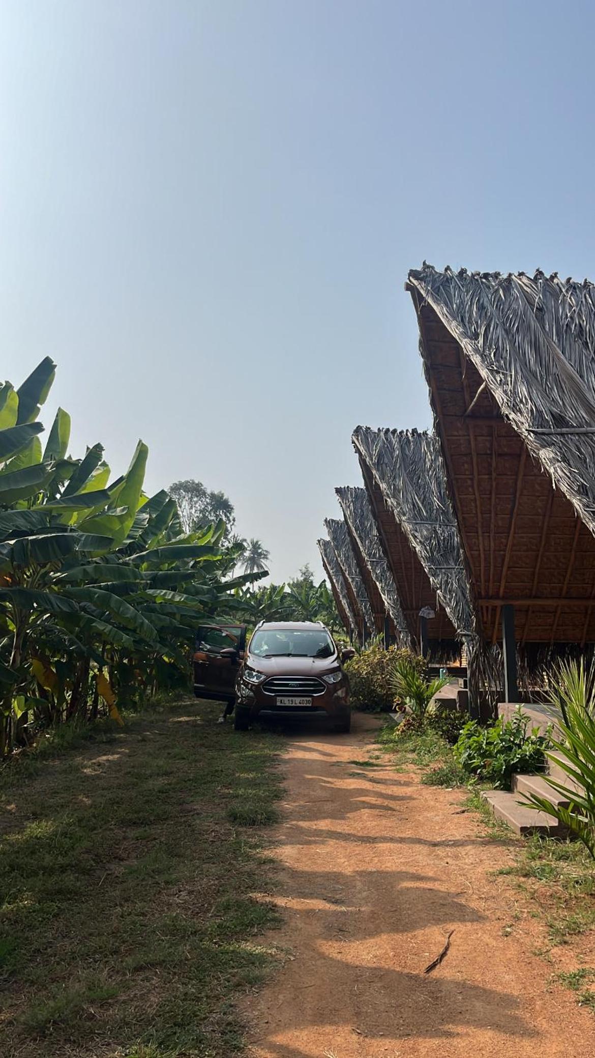 Tropical Hampi