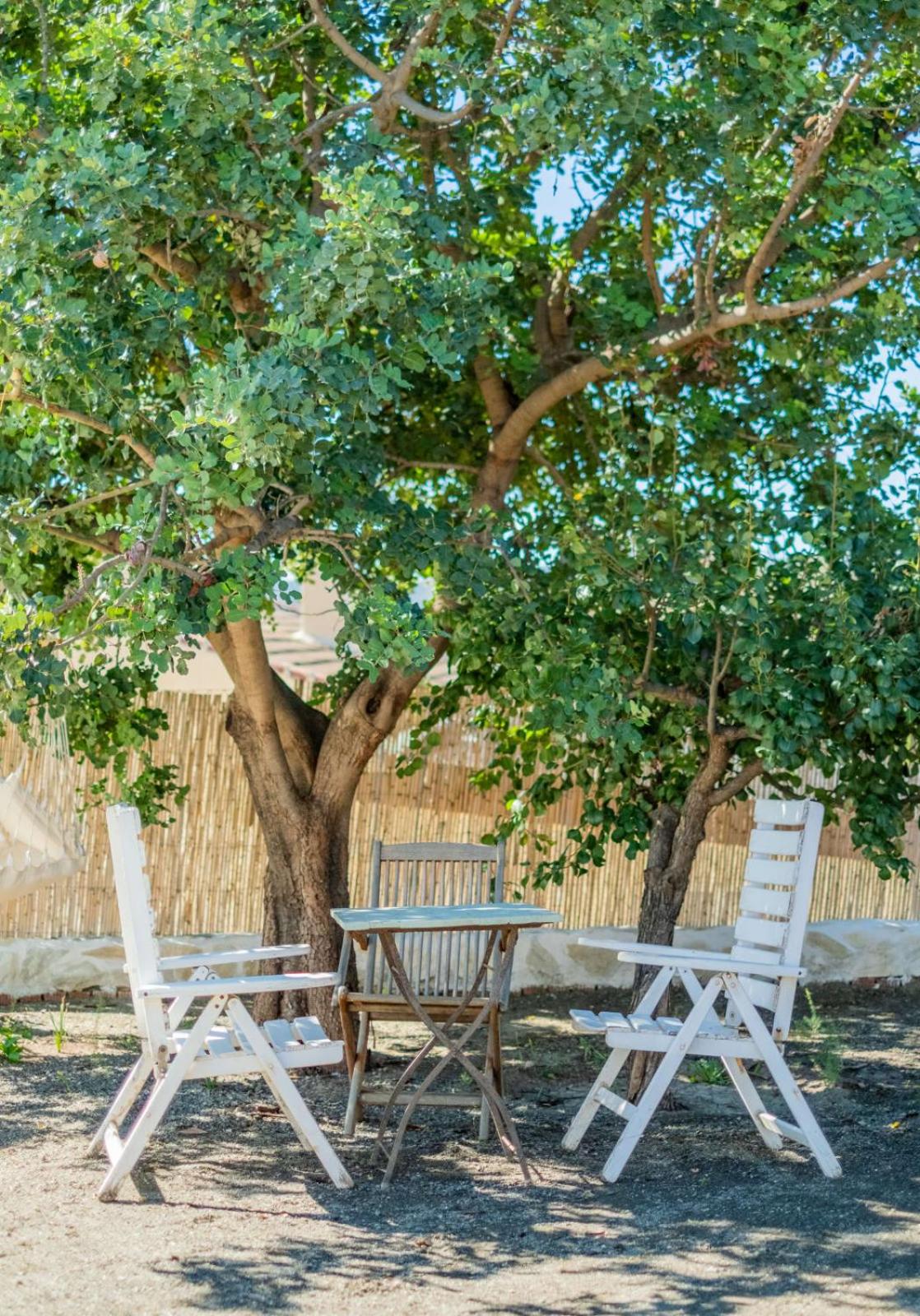 Villa Cayetana - Spacious 4-Bedroom Villa with Private Pool Terrace & BBQ