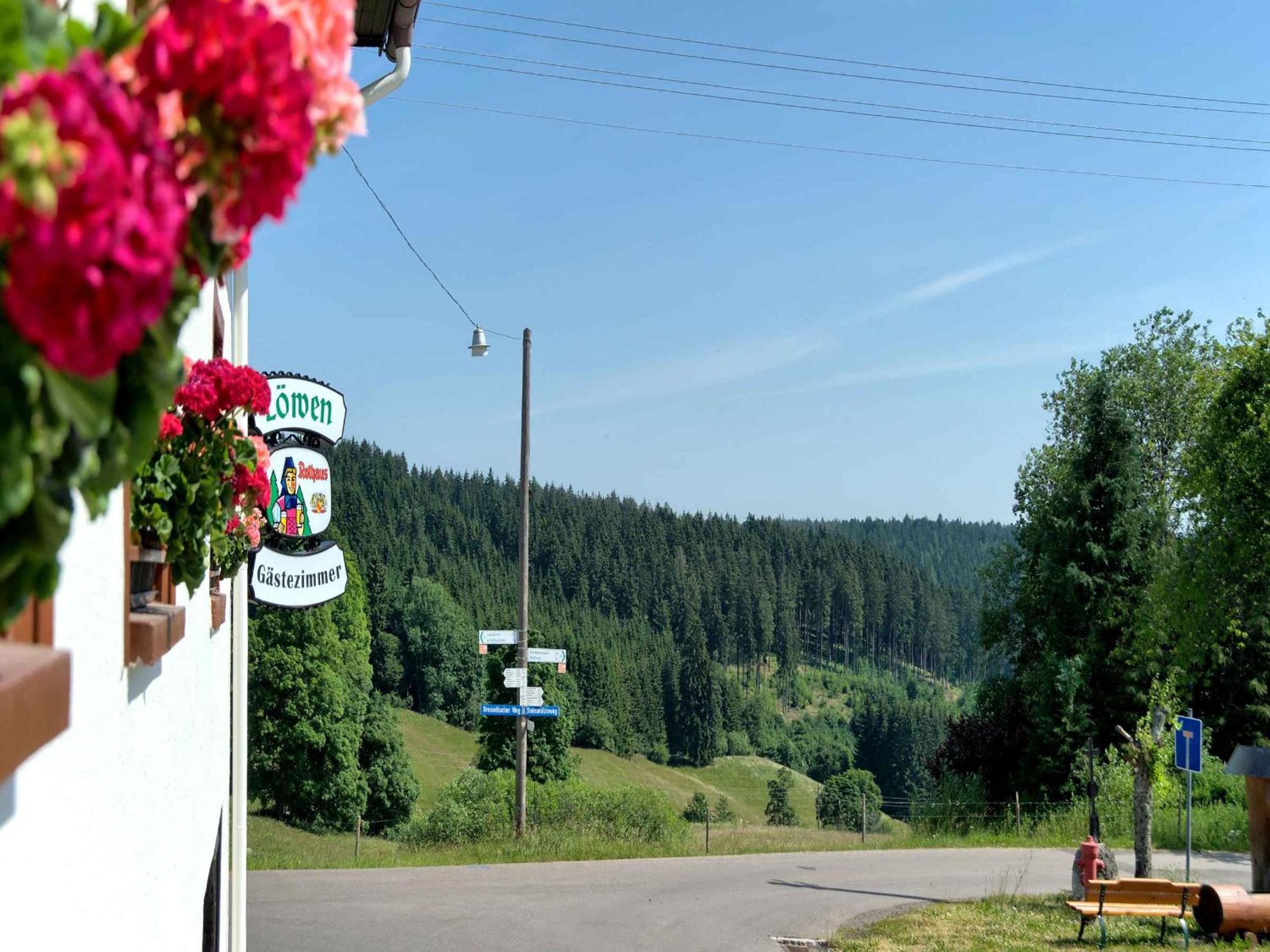 Gasthaus-pension zum Löwen
