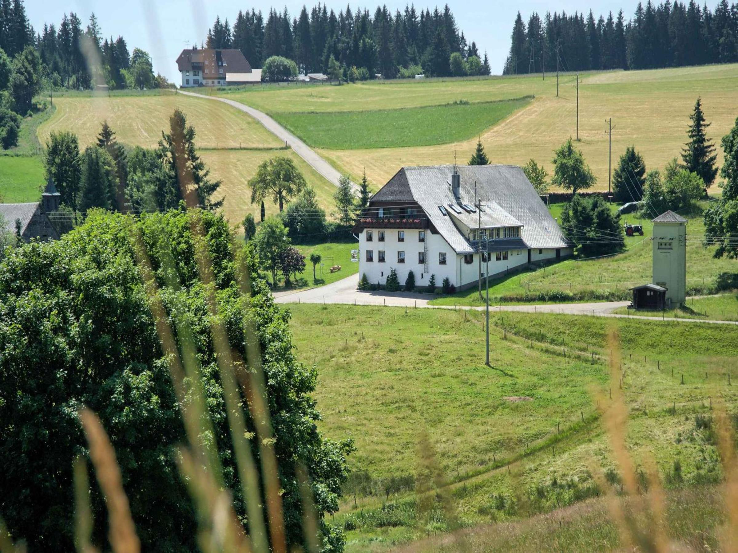 Gasthaus-pension zum Löwen