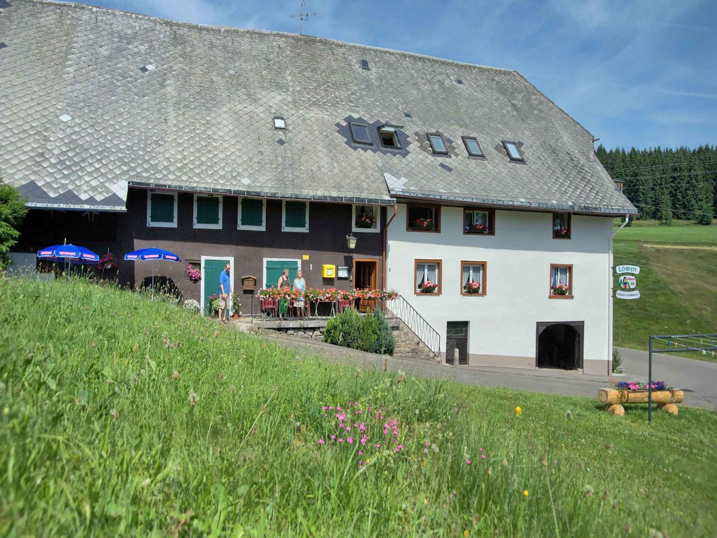 Gasthaus-pension zum Löwen