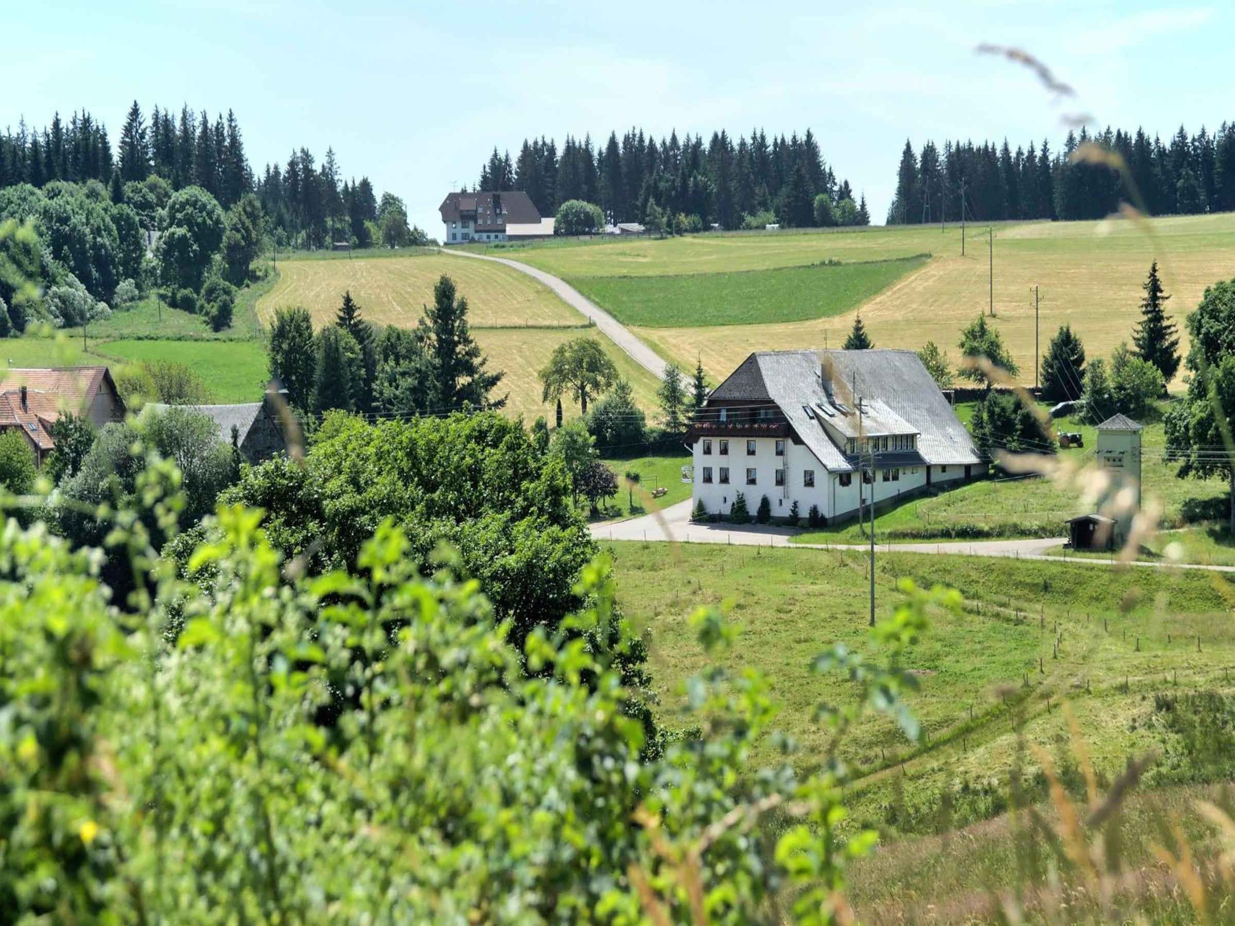 Gasthaus-pension zum Löwen