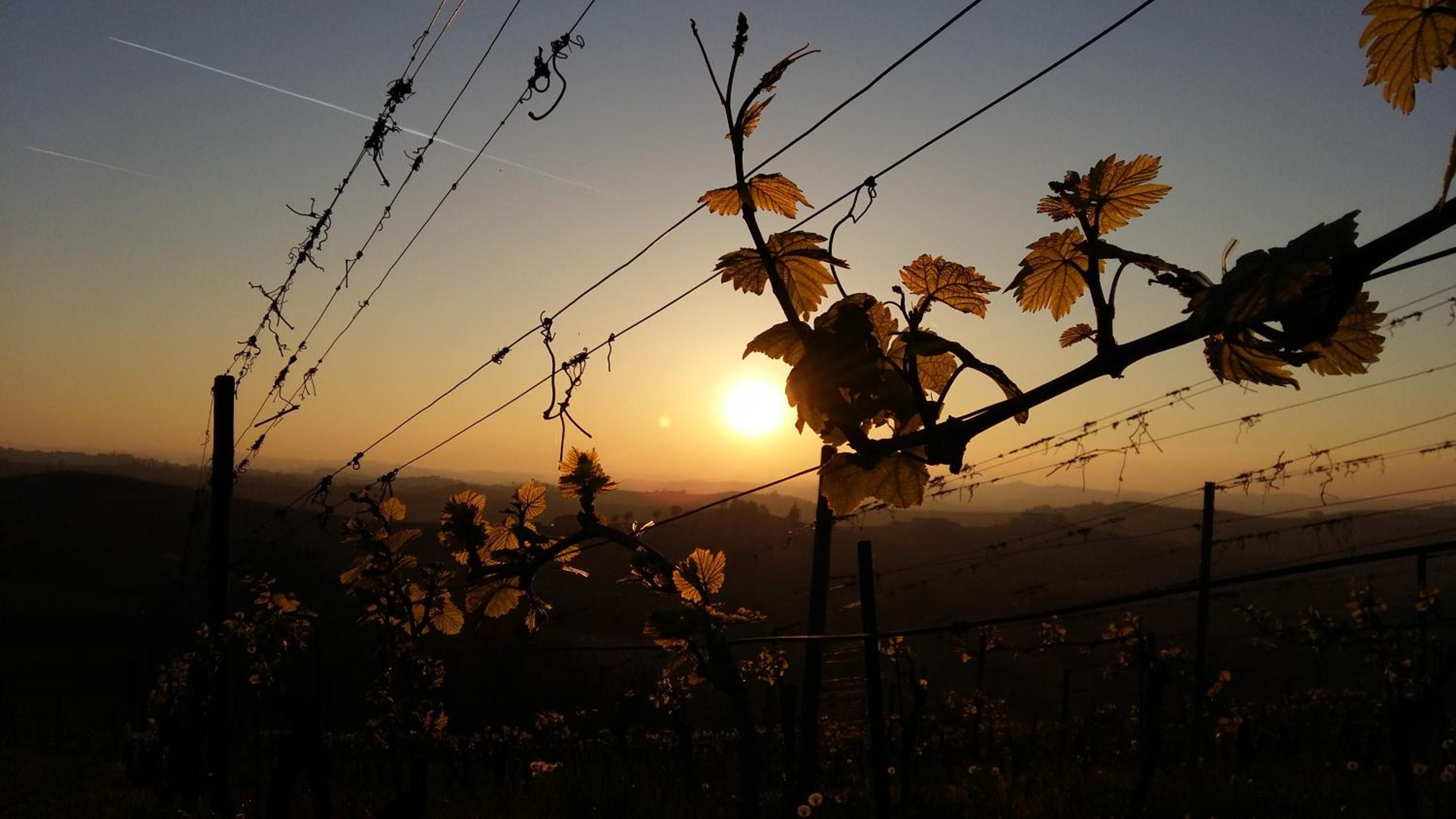 Agriturismo Bastian