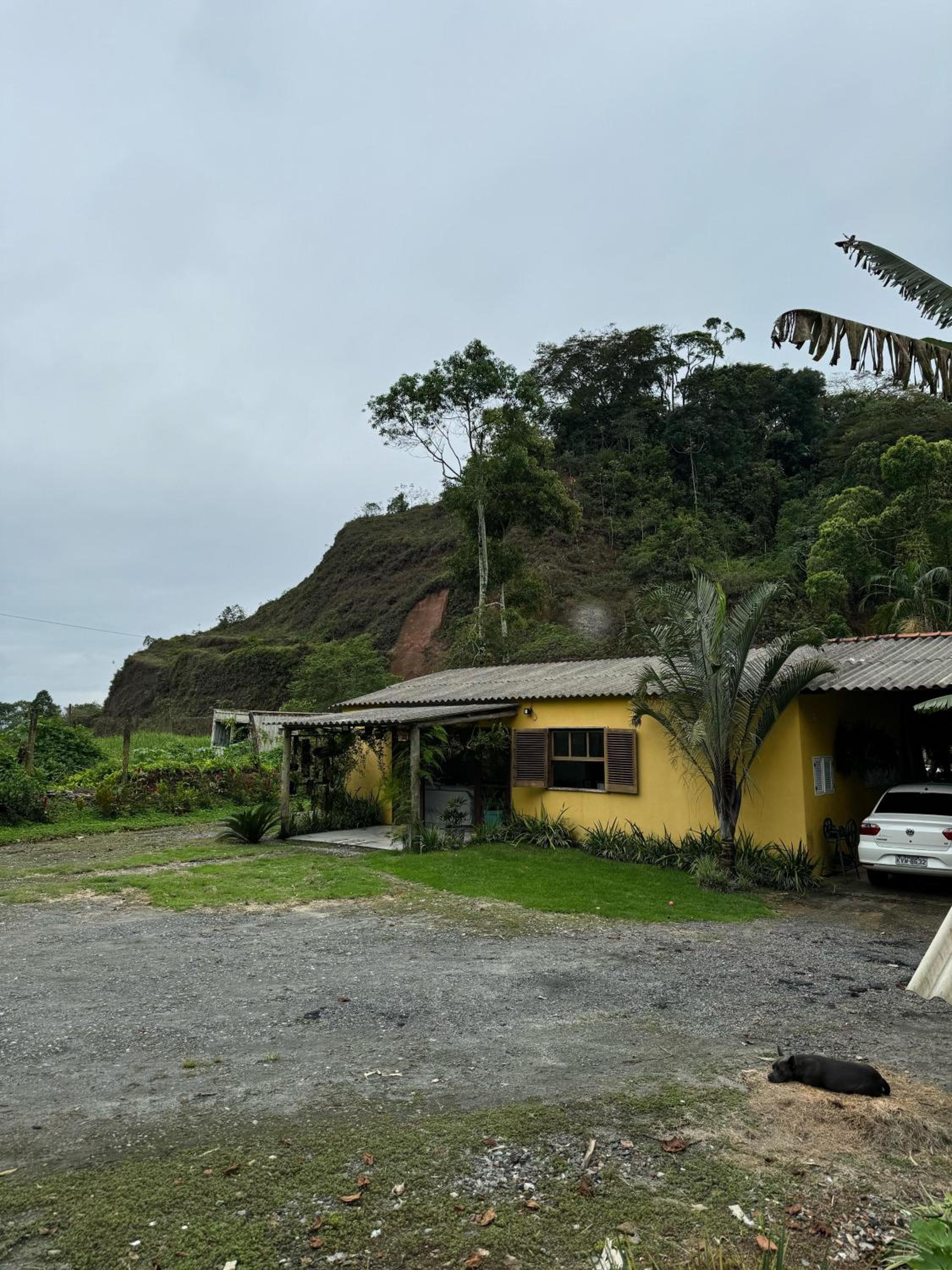 O refugio do beija-flor