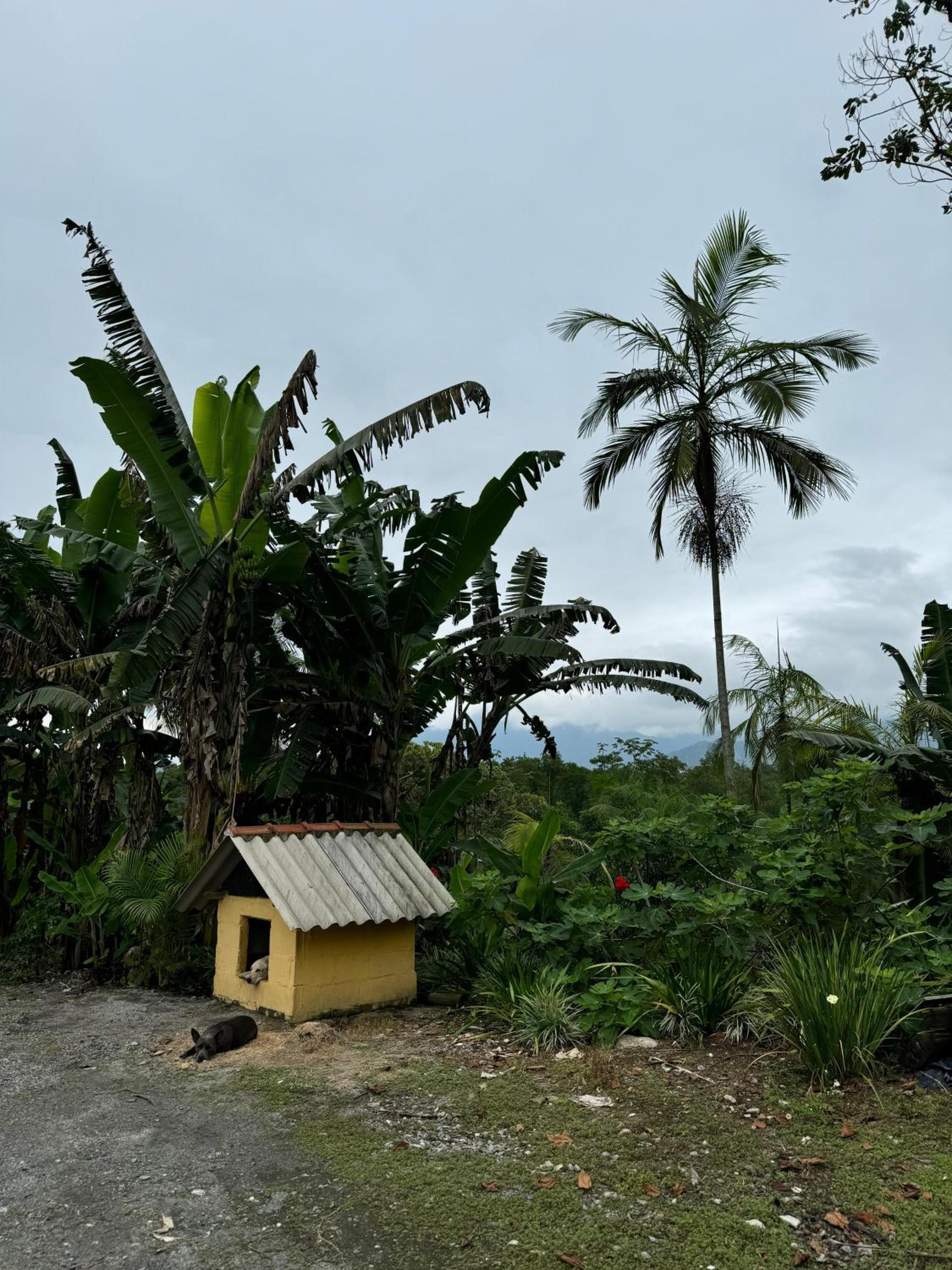 O refugio do beija-flor