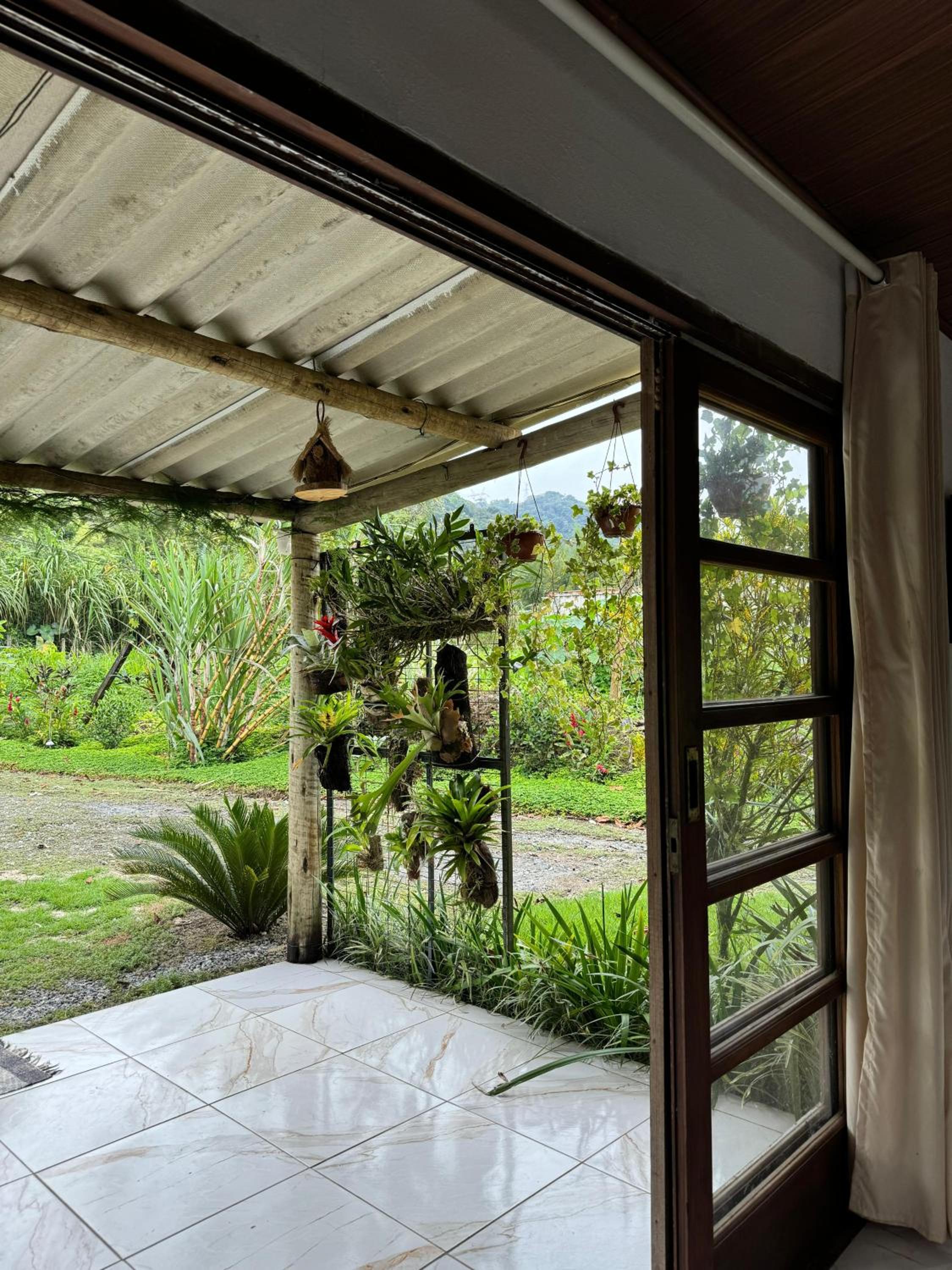 O refugio do beija-flor
