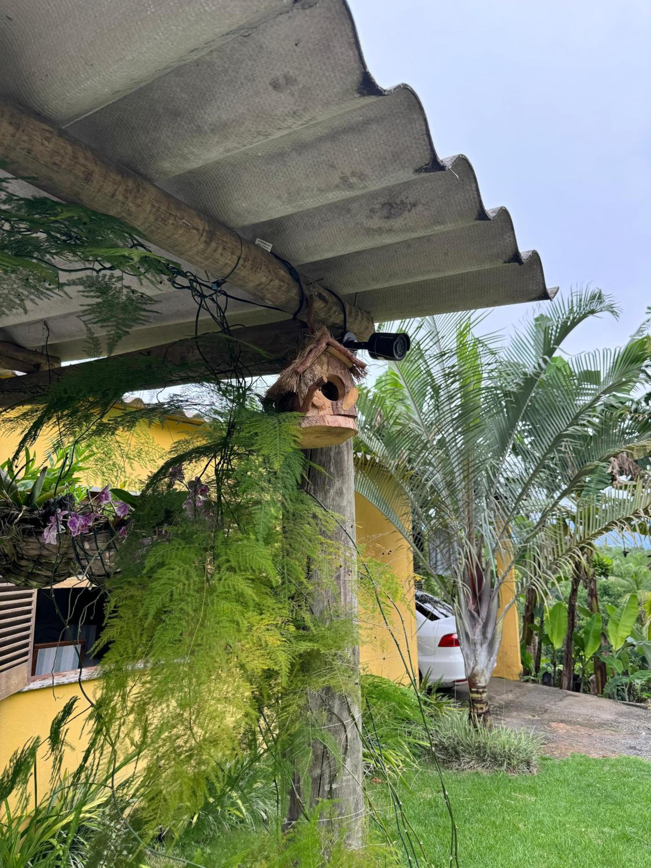 O refugio do beija-flor