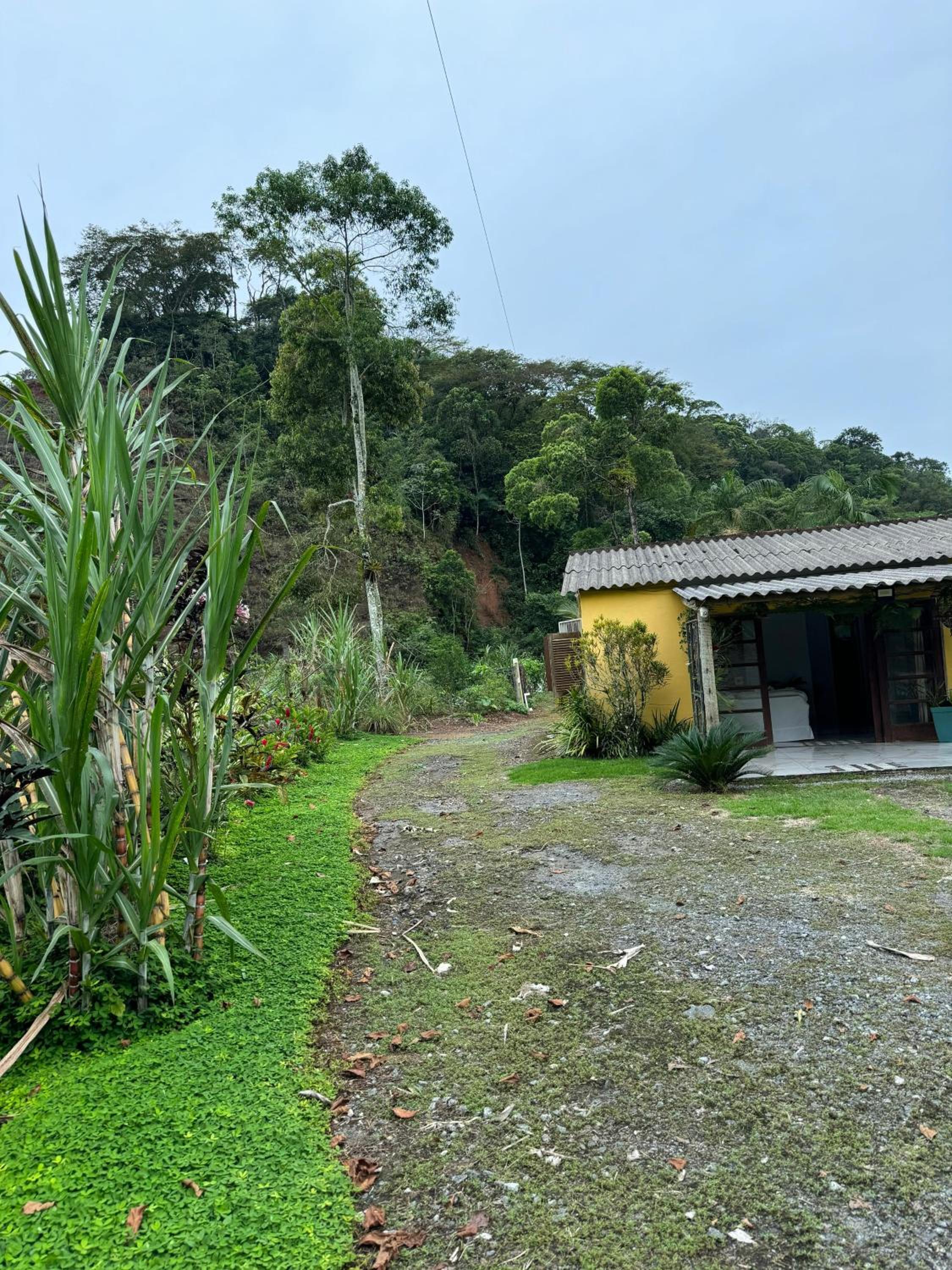 O refugio do beija-flor
