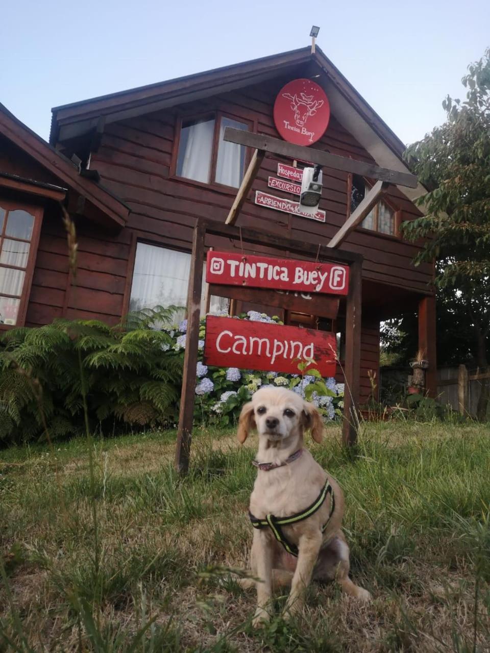 Hostal Refugio de aventuras Tintica Buey Puerto Fuy