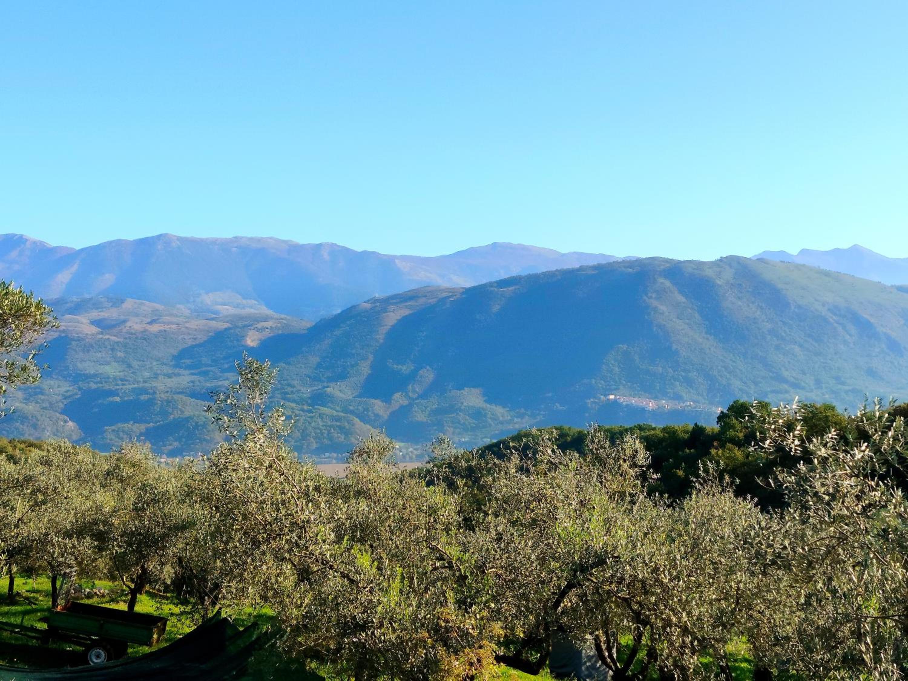 "La casetta" indipendente, con ampio spazio verde view 4