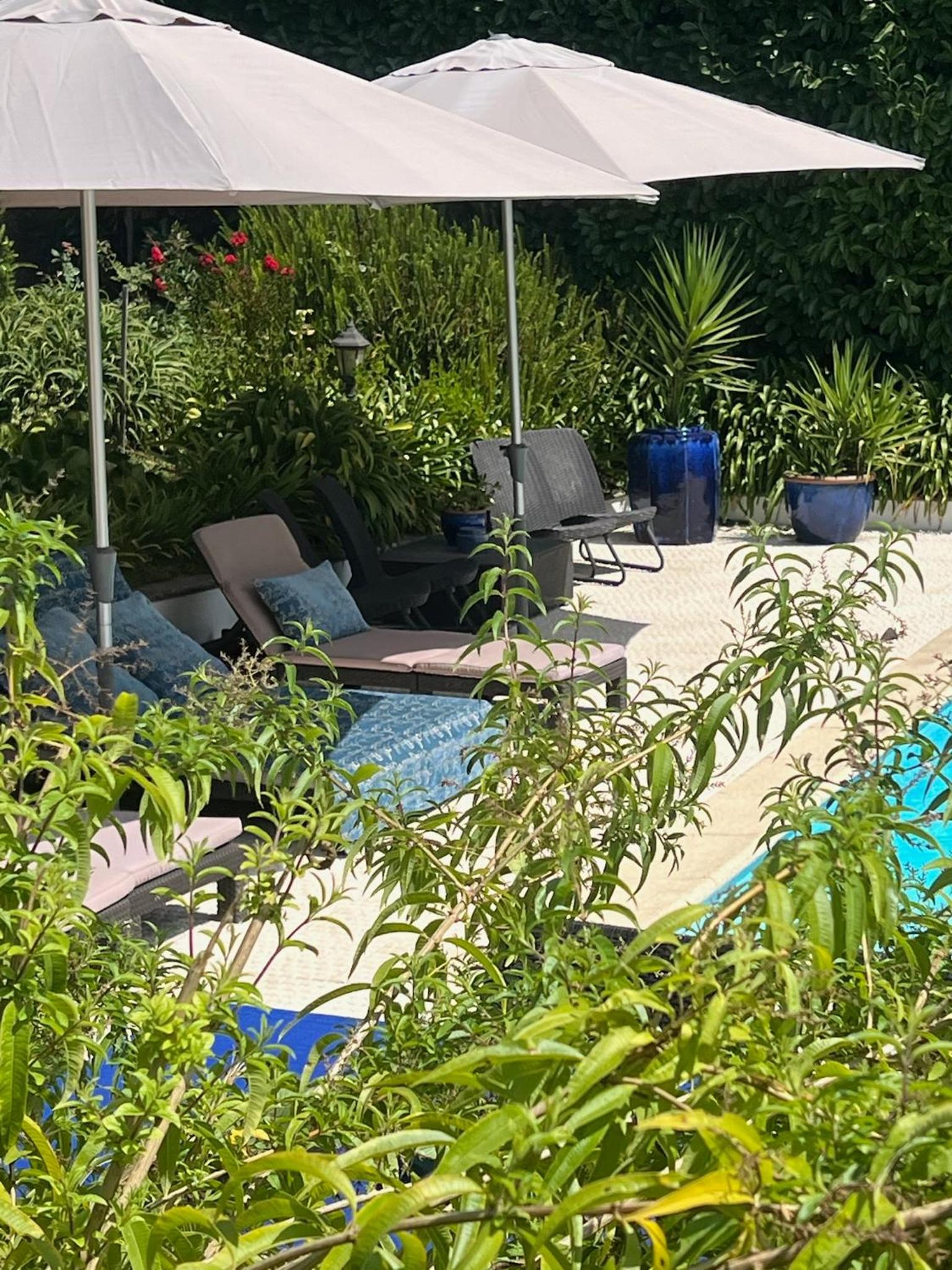HostWise - Modern Villa & Shared Pool in Paredes
