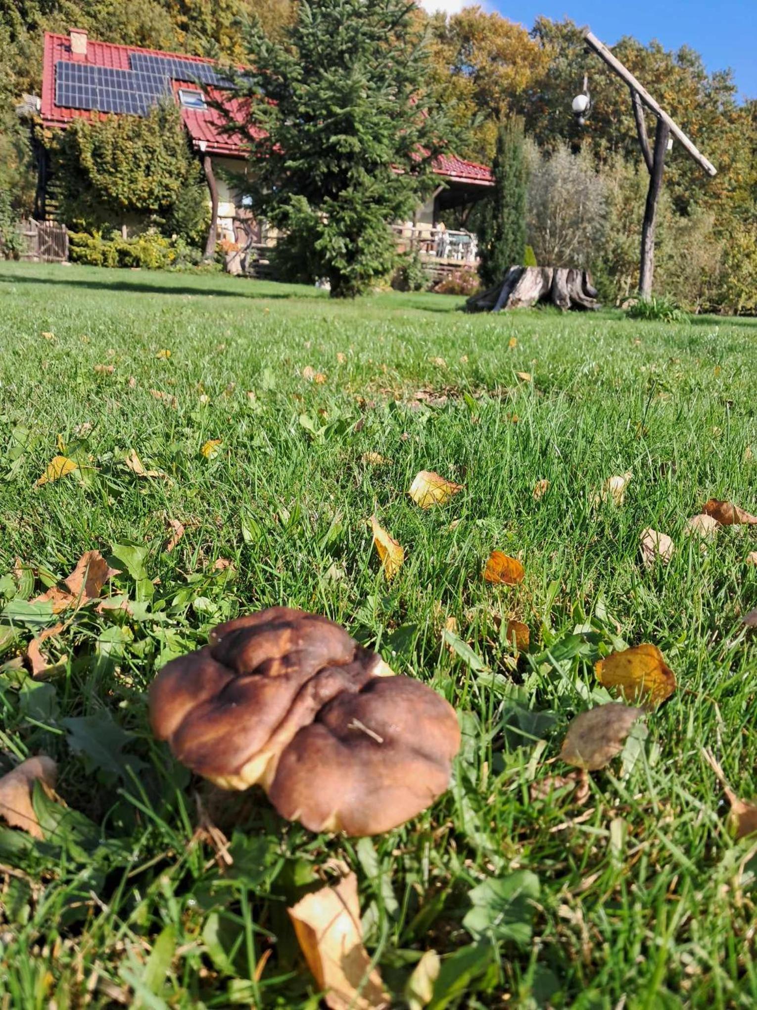 Małopolskie Swojskie