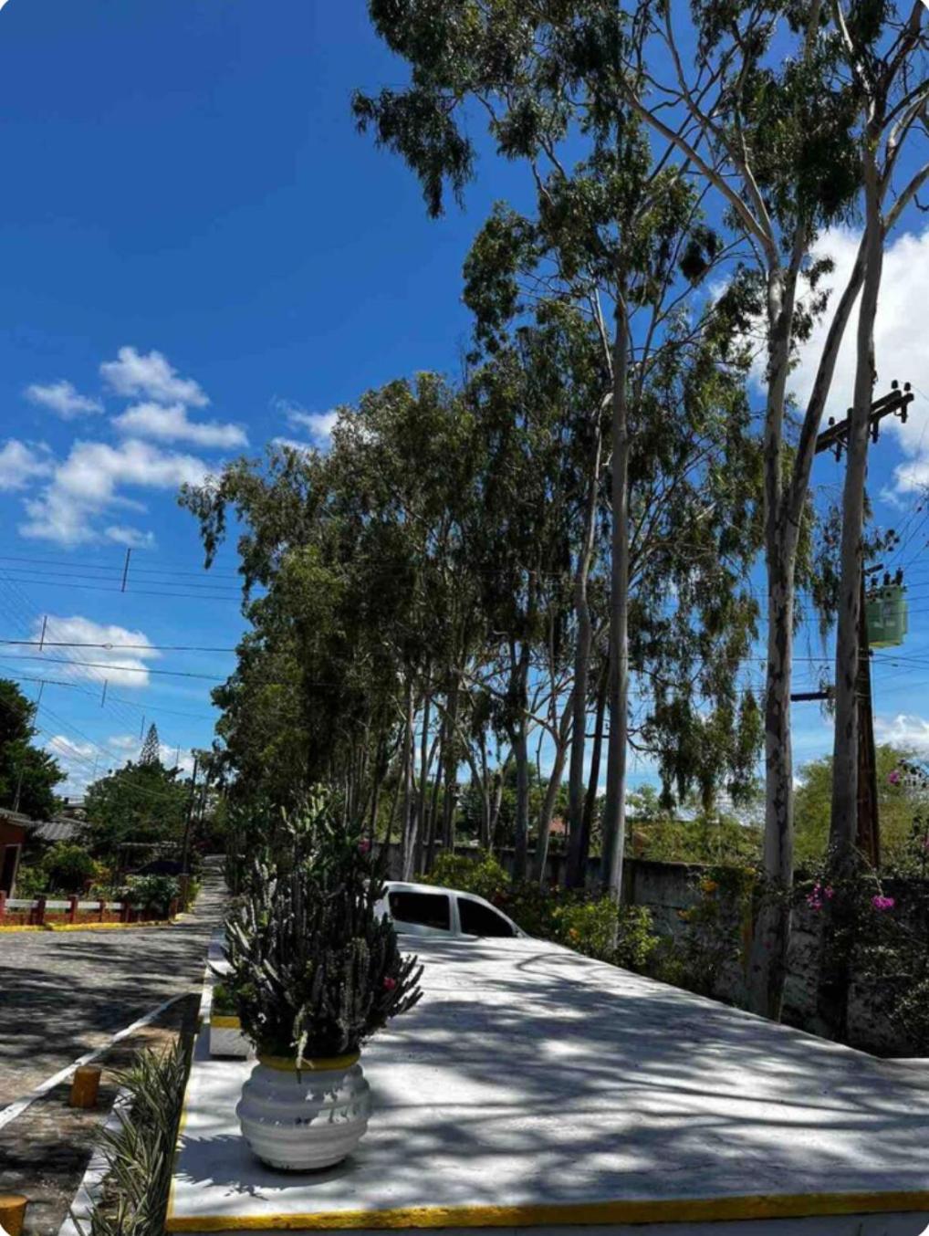 Casa Flor de Gravatá