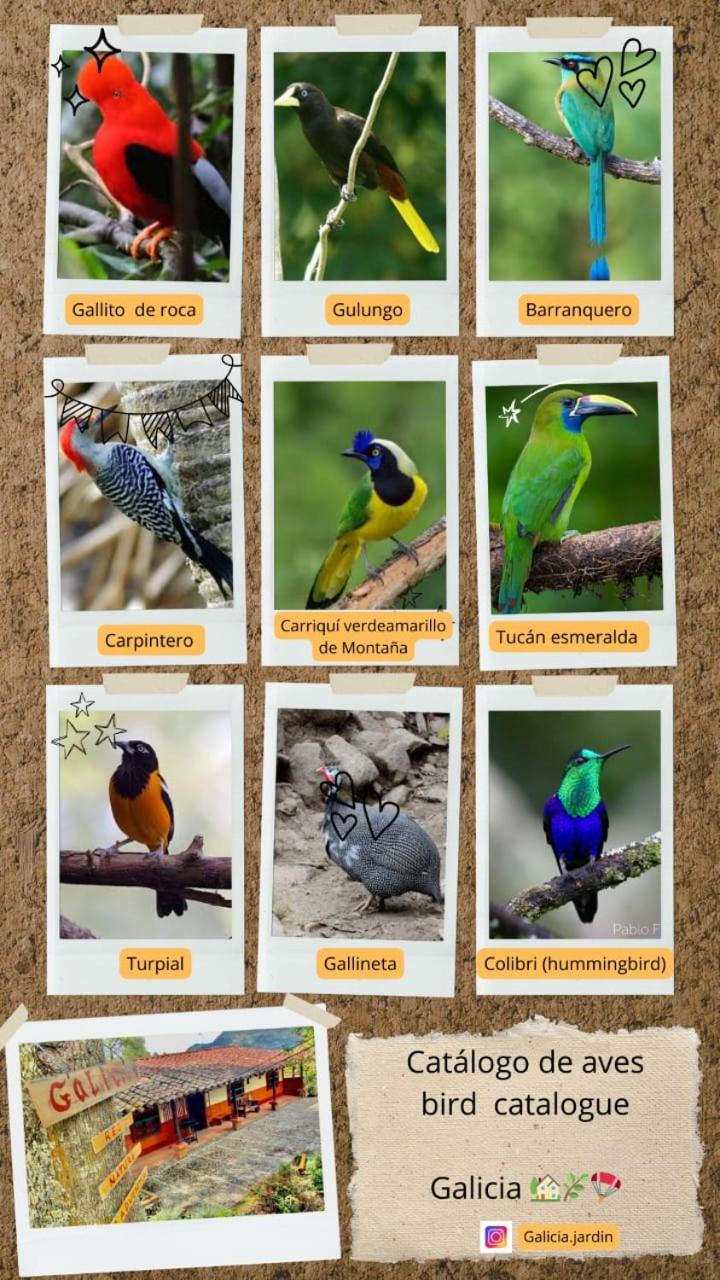 Casa y cabaña campestres, 14 personas, vocación familiar y descanso