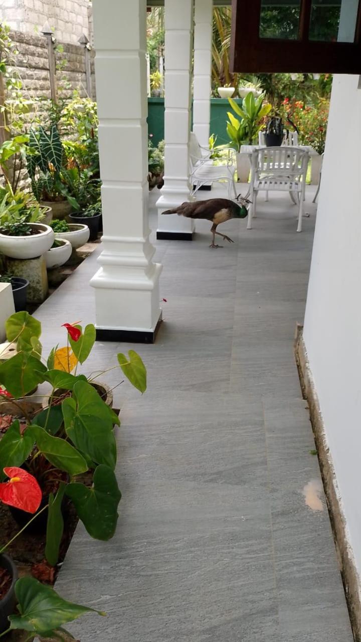 Suriya Homestay