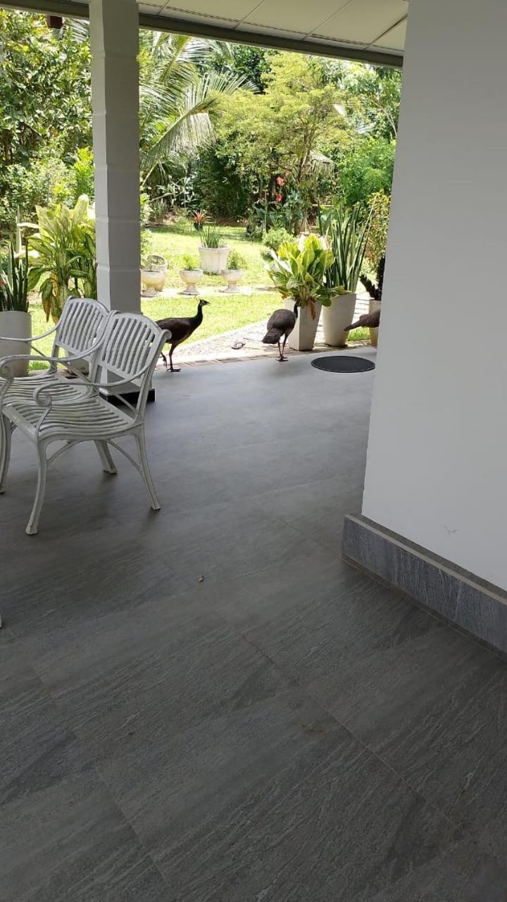 Suriya Homestay