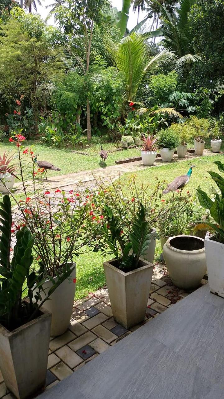 Suriya Homestay
