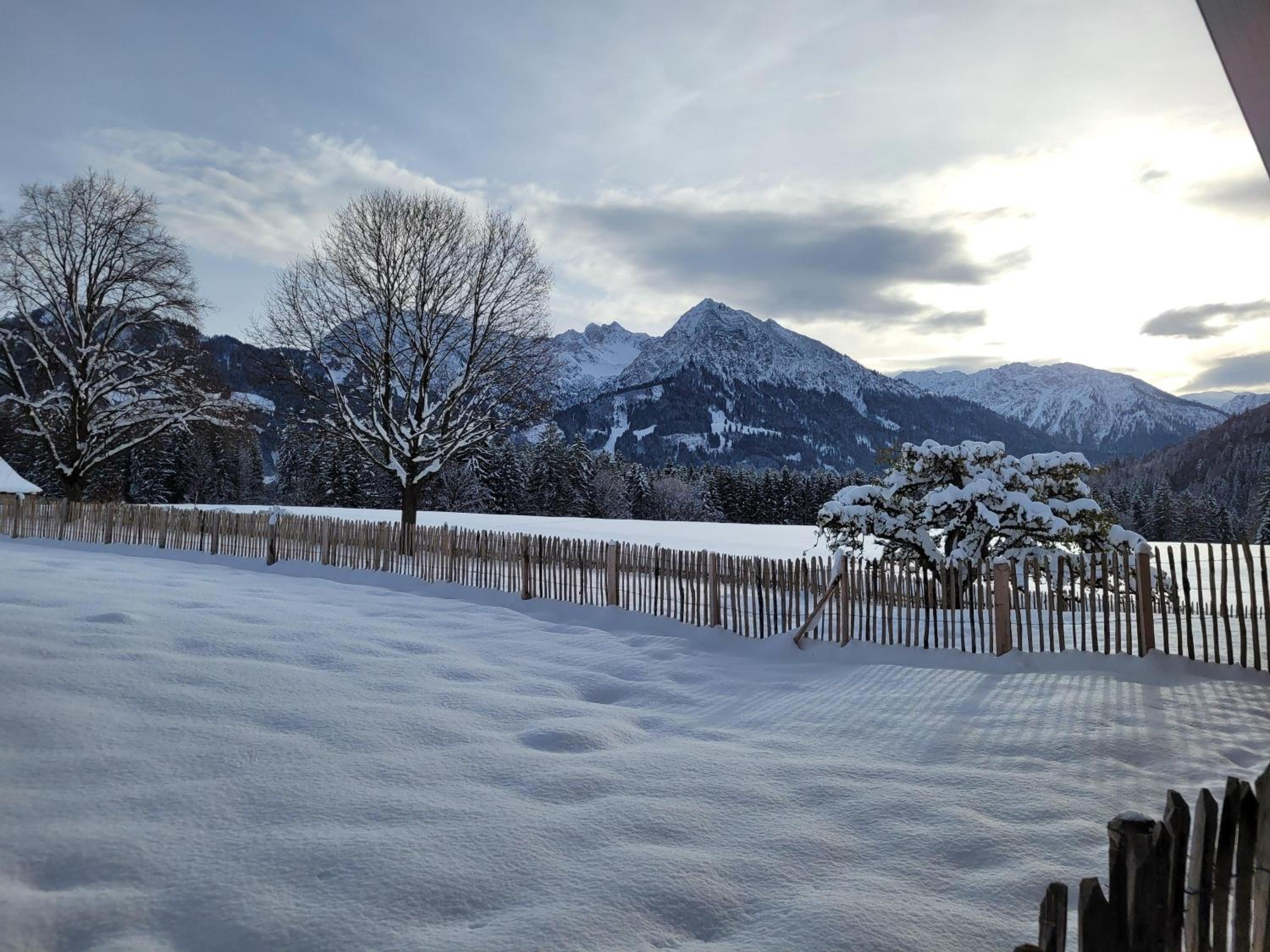 Naturgut Allgäu
