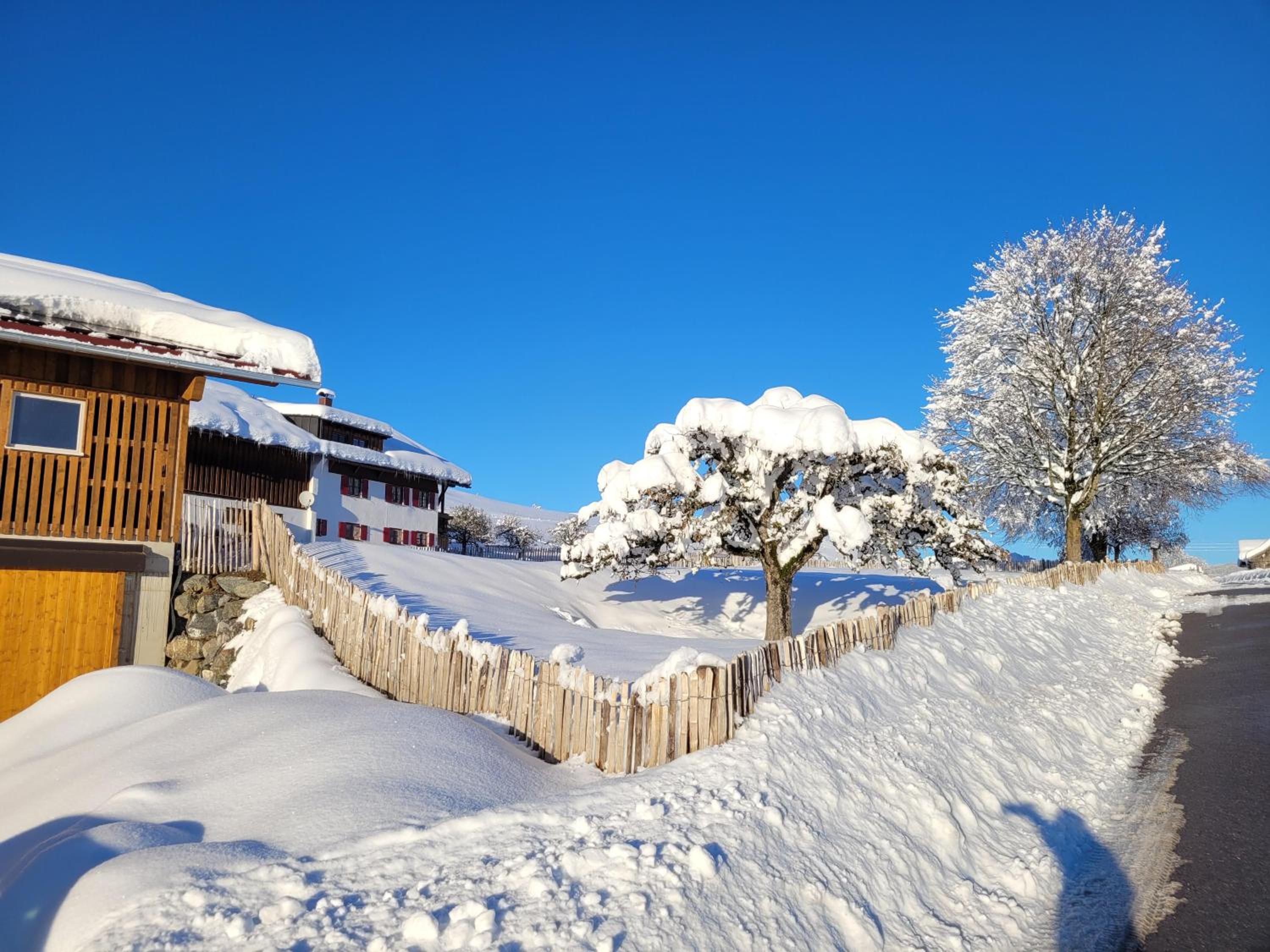 Naturgut Allgäu