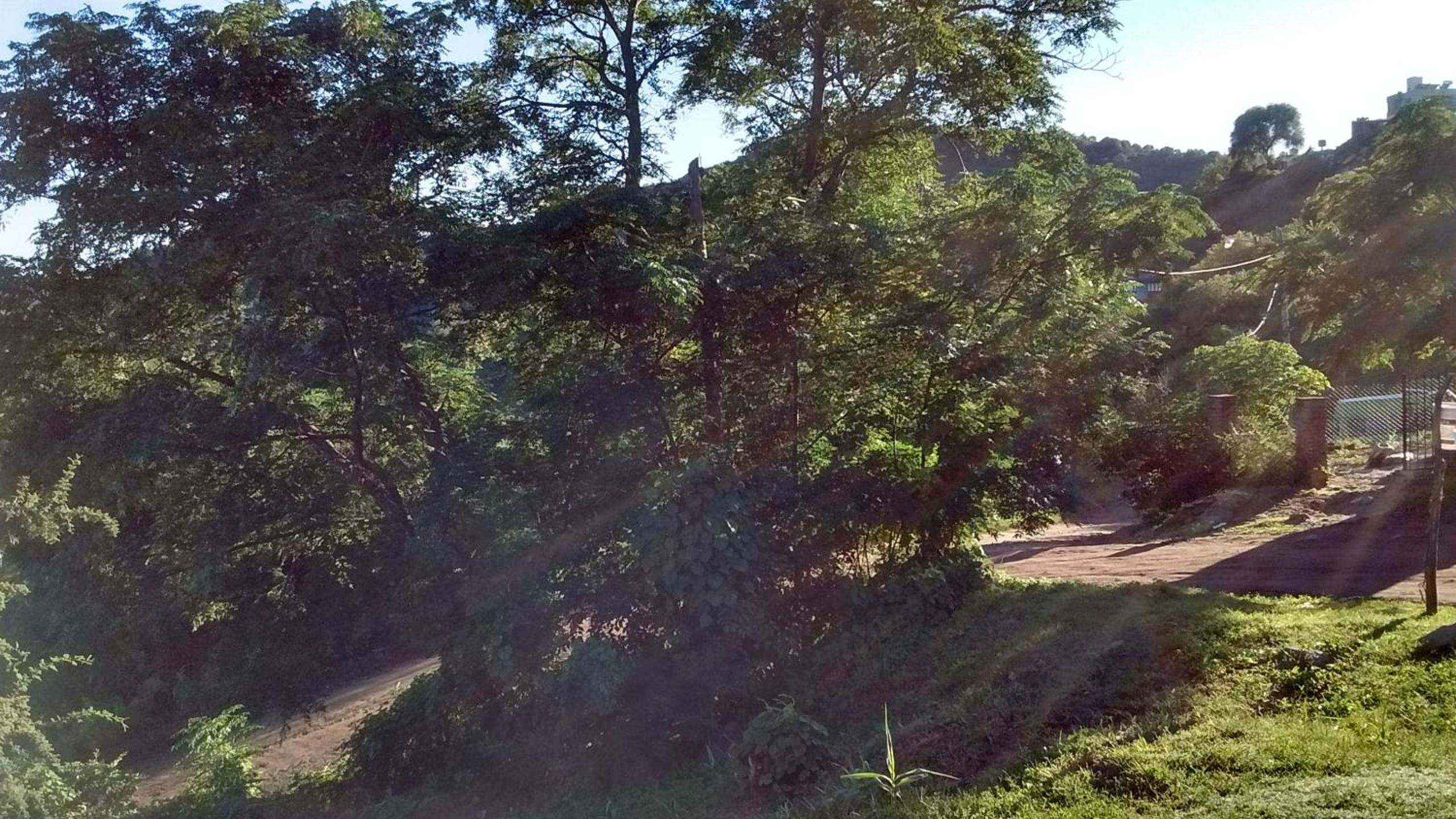 Mirador del kamiare