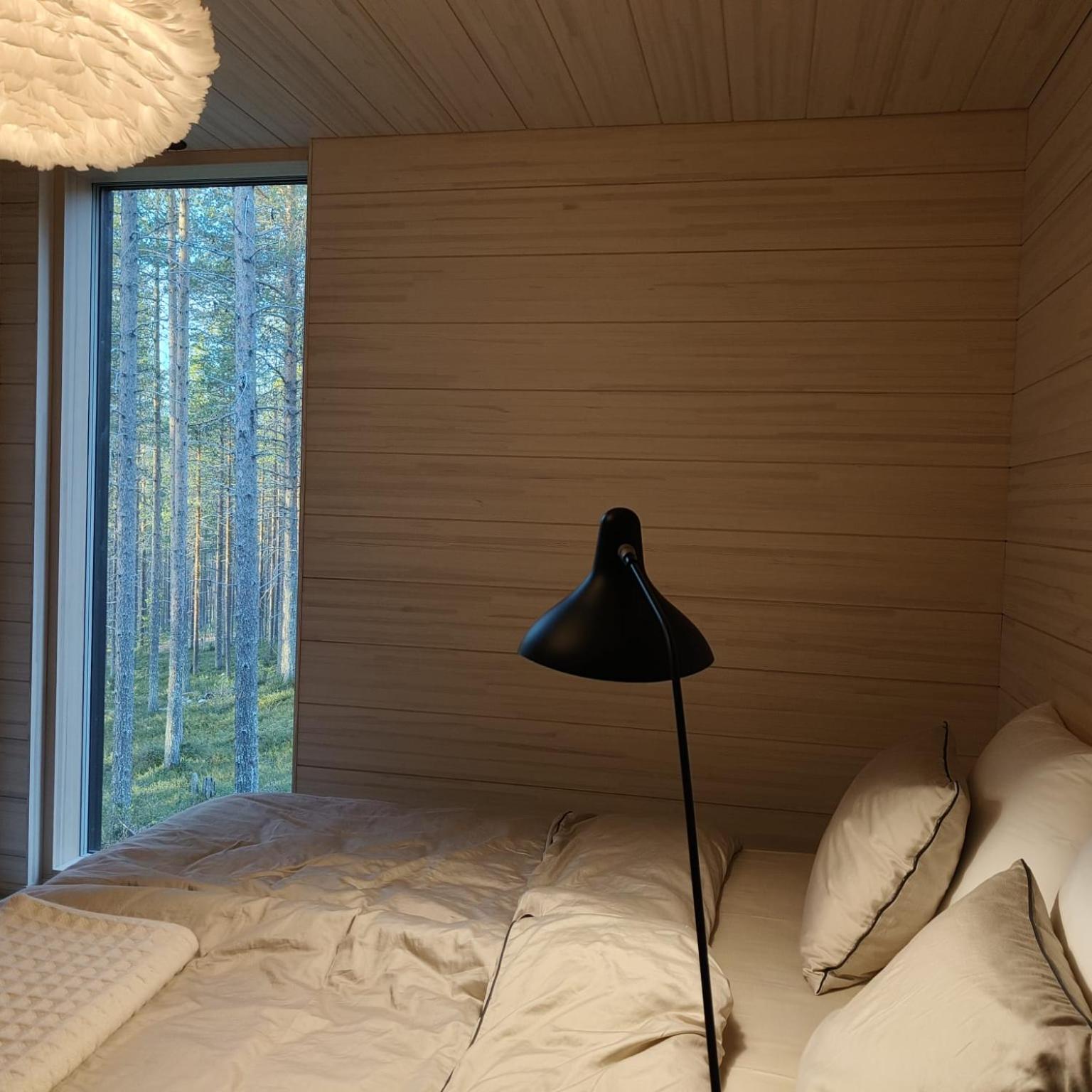 Arctic Design Villa Levi