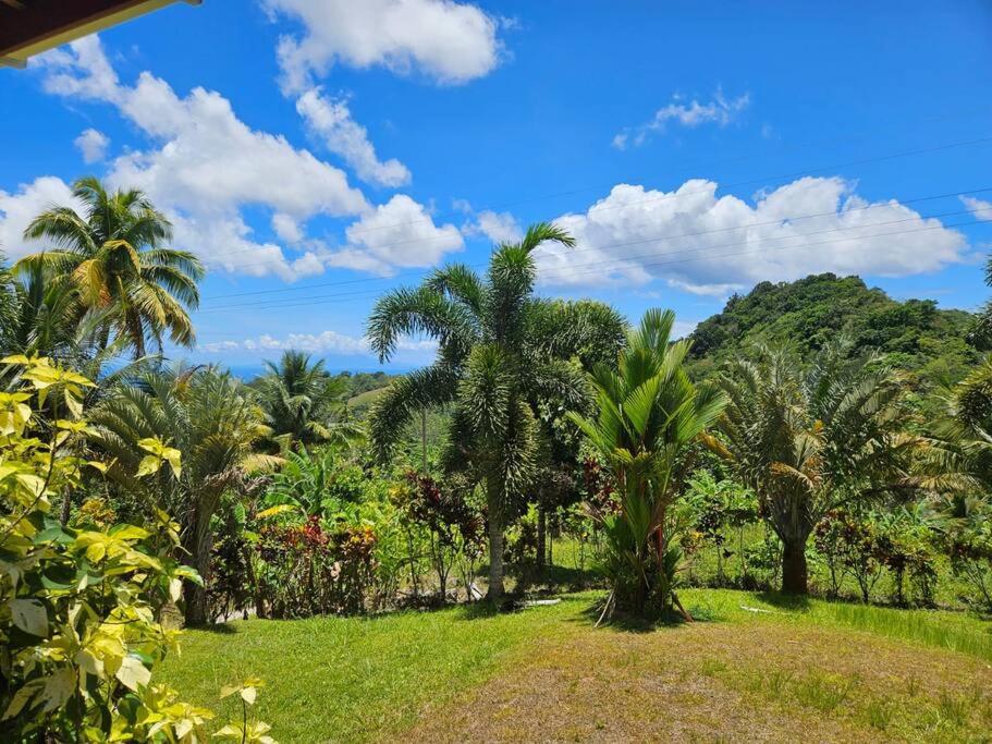 Photo 34