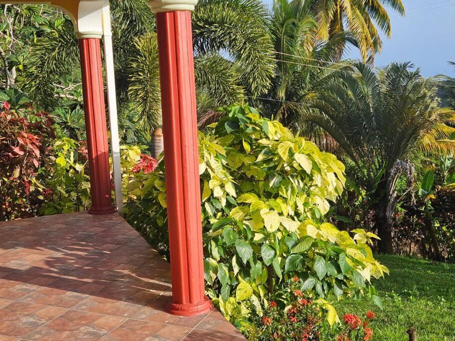 Jardin Damon view 2