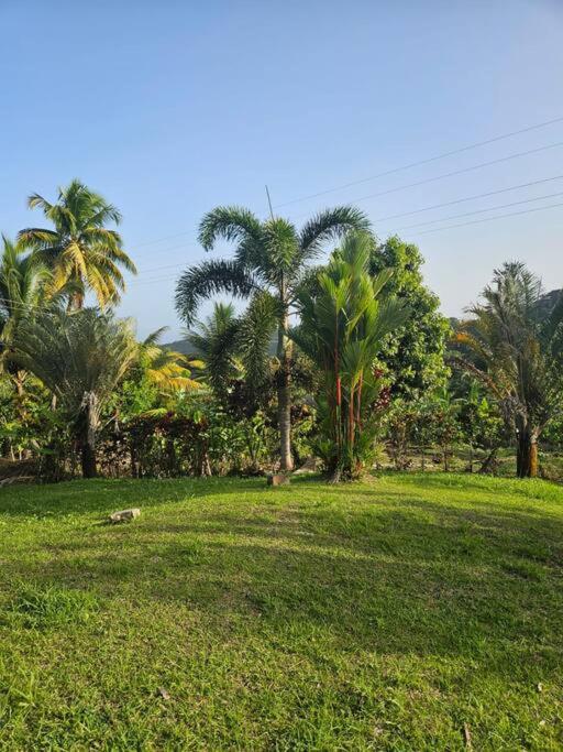Jardin Damon view 4