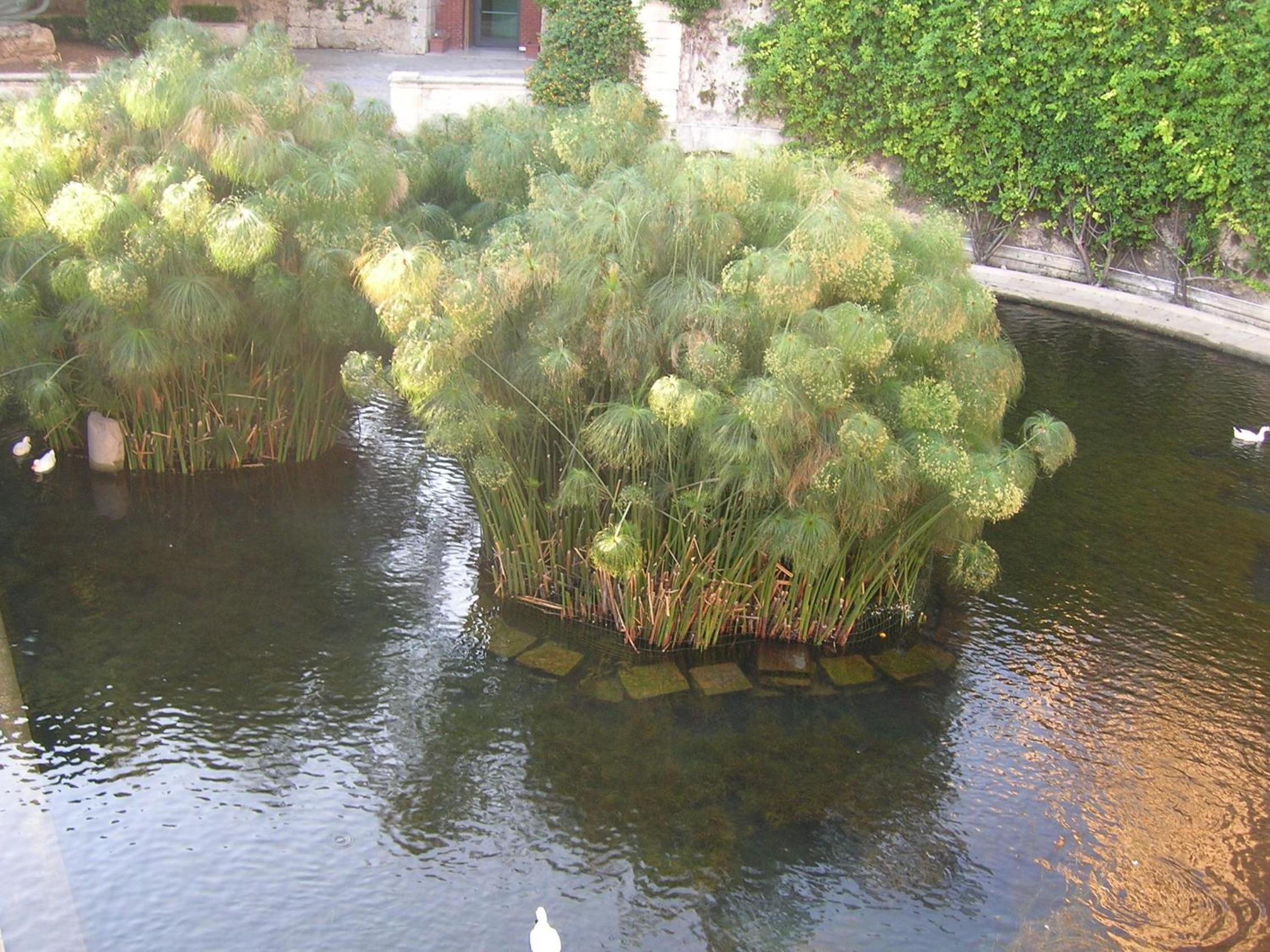 La Perla di Vale, fotografia 3
