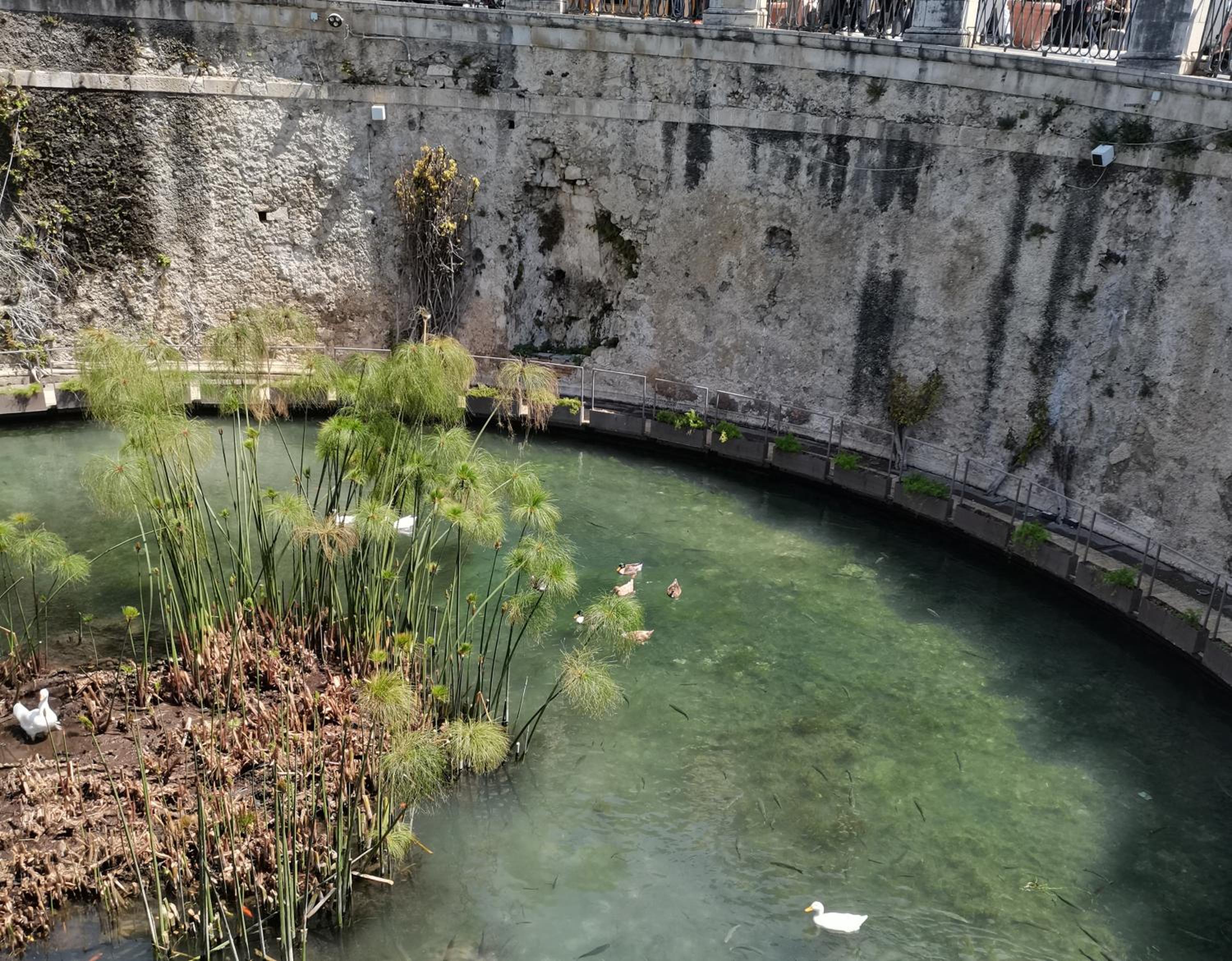La Perla di Vale, fotografia 5