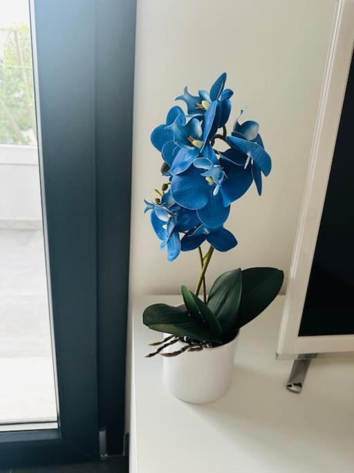 Blue Orchid Apartment, IUN S8460