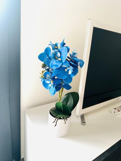 Blue Orchid Apartment, IUN S8460