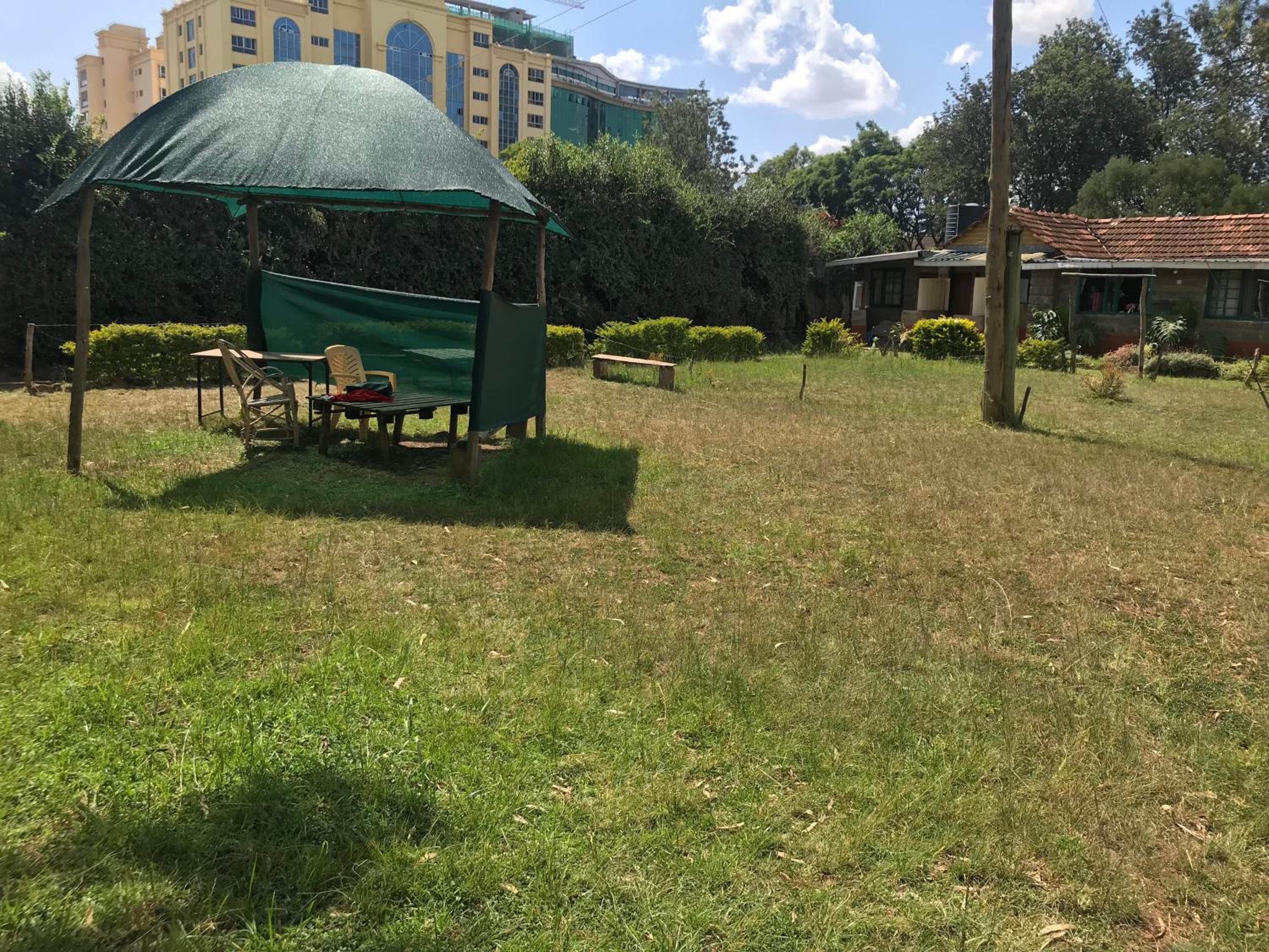 KIlimani Blissstone