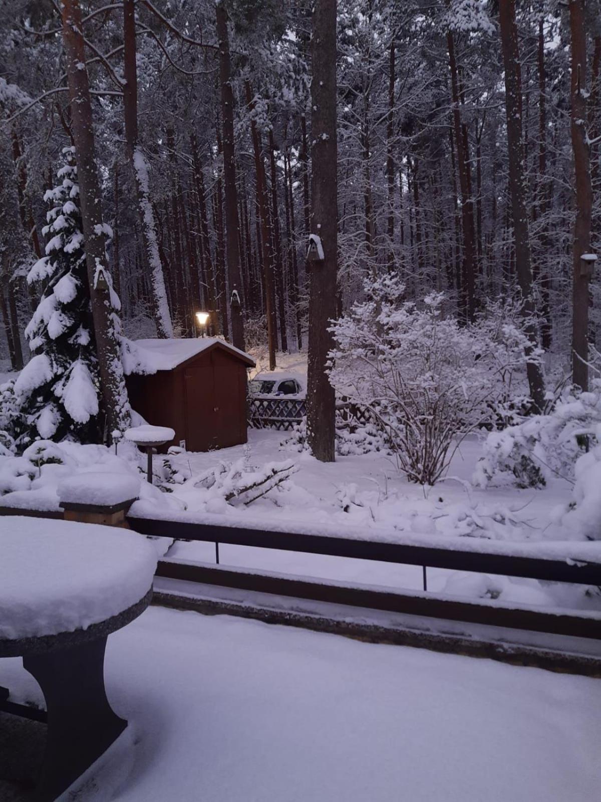 FeWo Wald & Düne