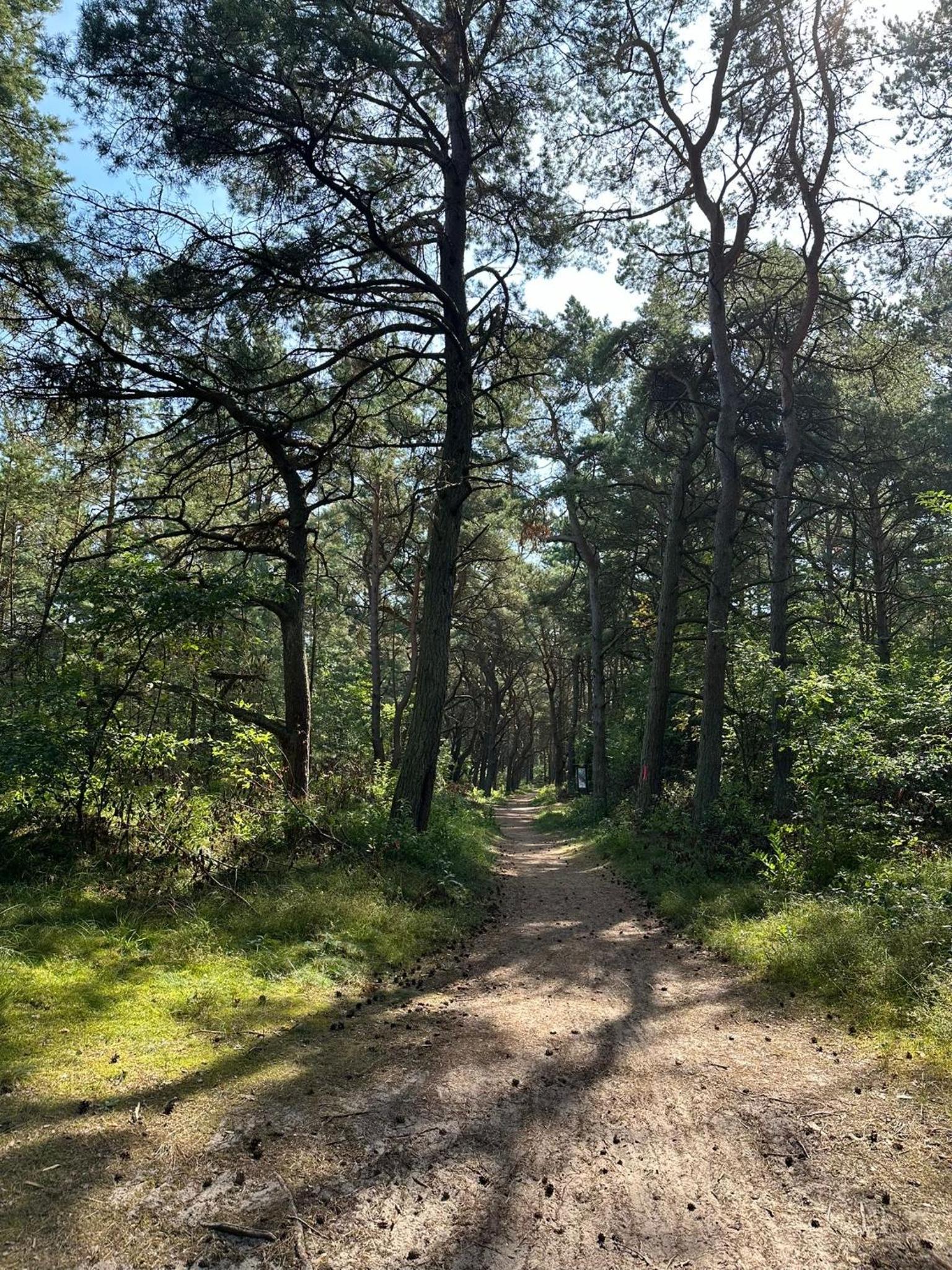 FeWo Wald & Düne