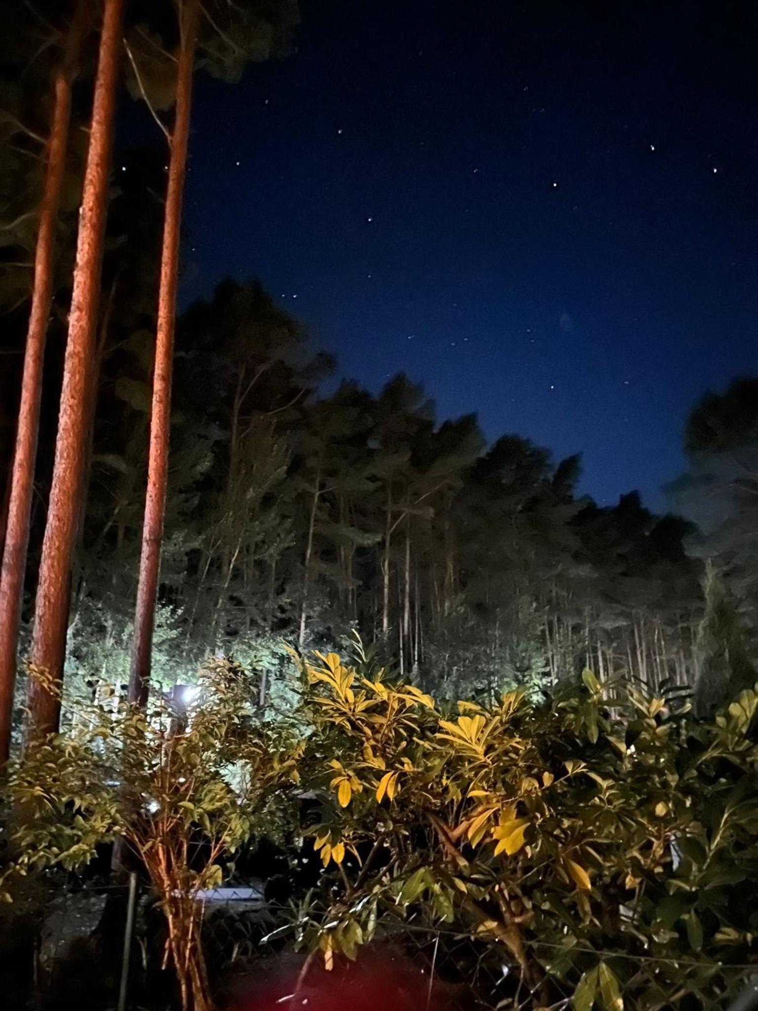 FeWo Wald & Düne