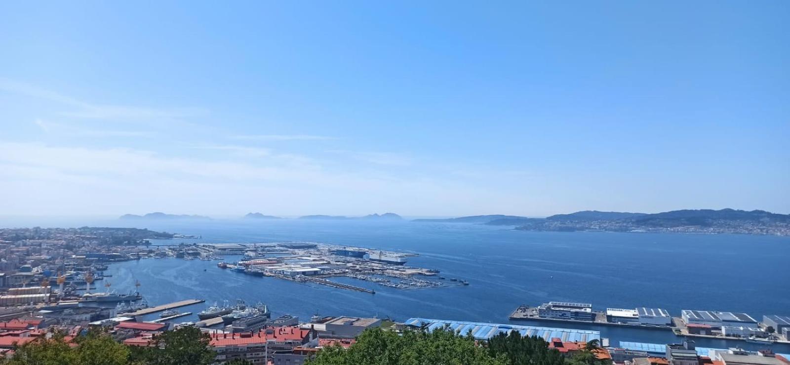 Azalé Vigo