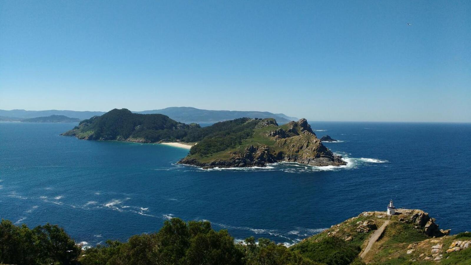 Azalé Vigo