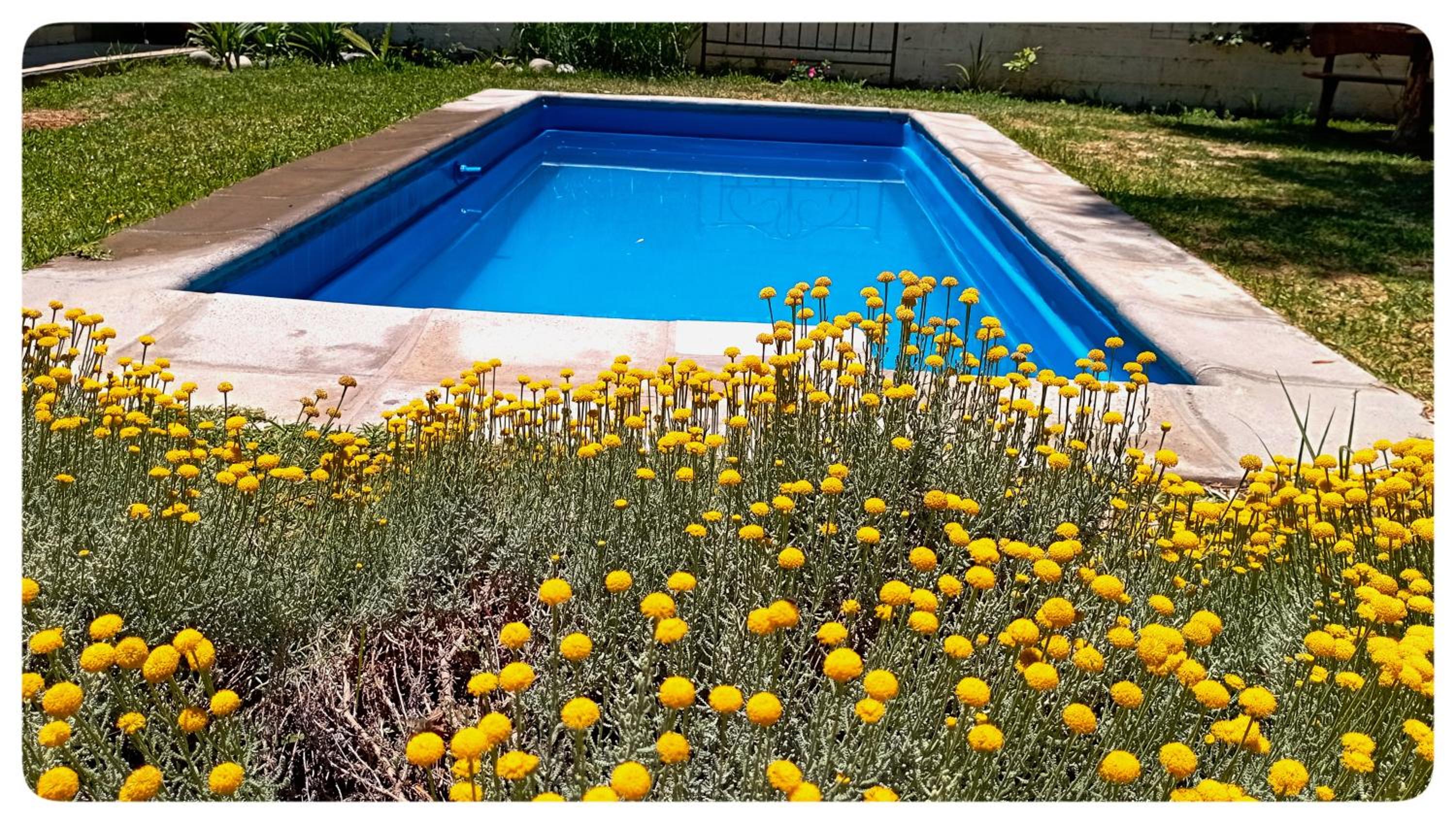 Cabañas Magnolia