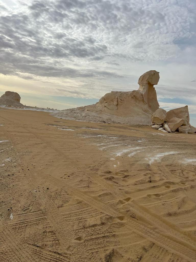 Egypt white and black desert with Camping