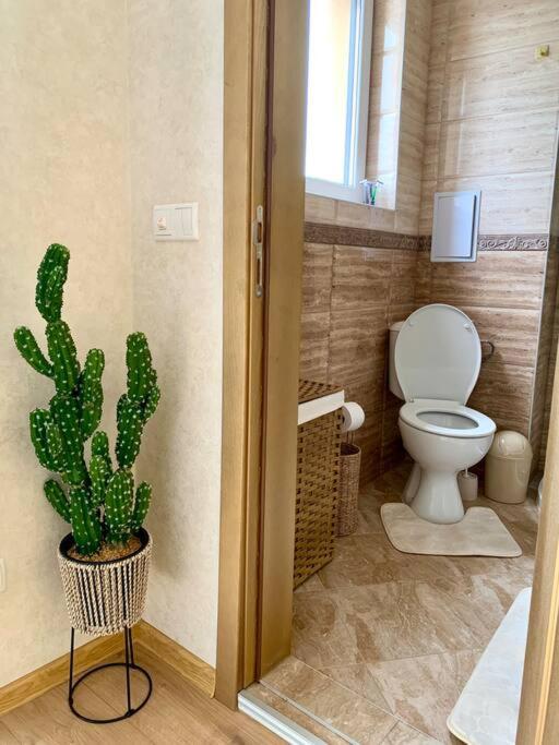 Compact Studio Apartment