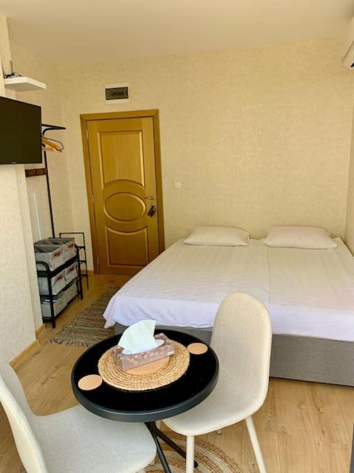 Compact Studio Apartment