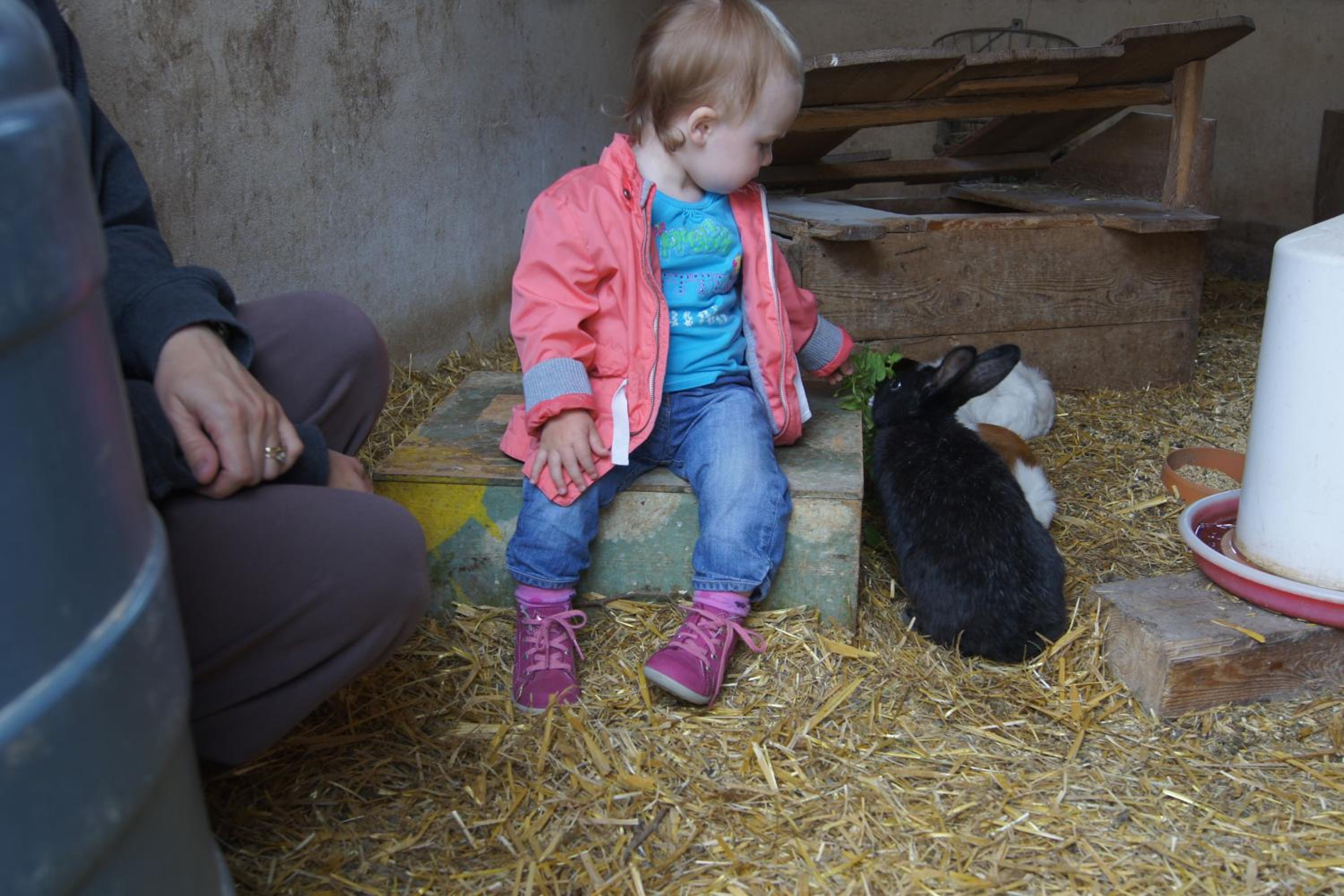 Bio-Erlebnisbauernhof Doll